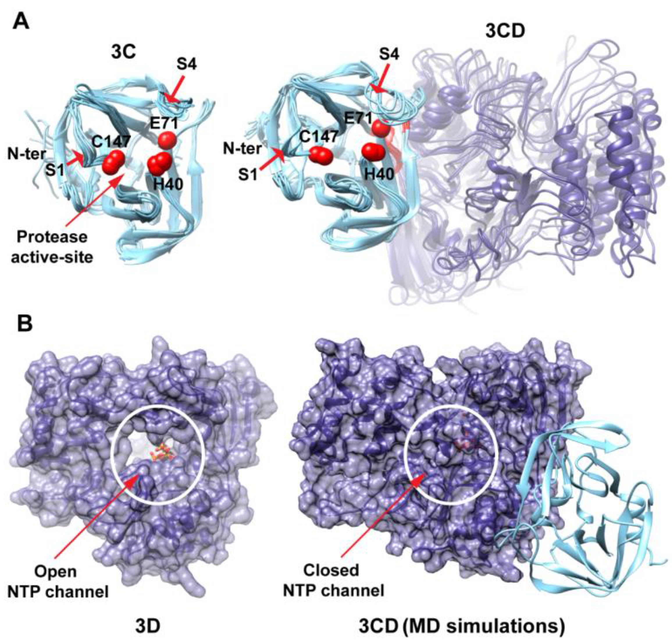 Viruses 07 02919 g012