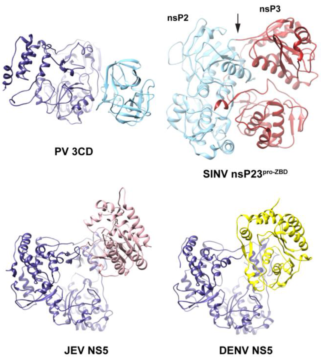 Viruses 07 02919 g013 1024