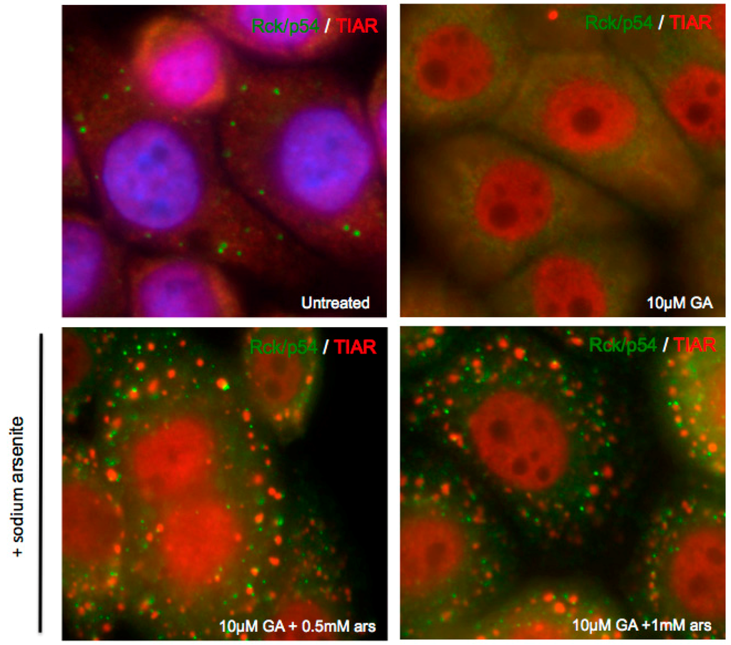 Viruses 07 02922 g005 1024