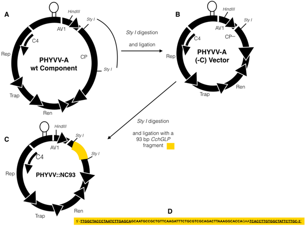 Viruses 07 02930 g001 1024