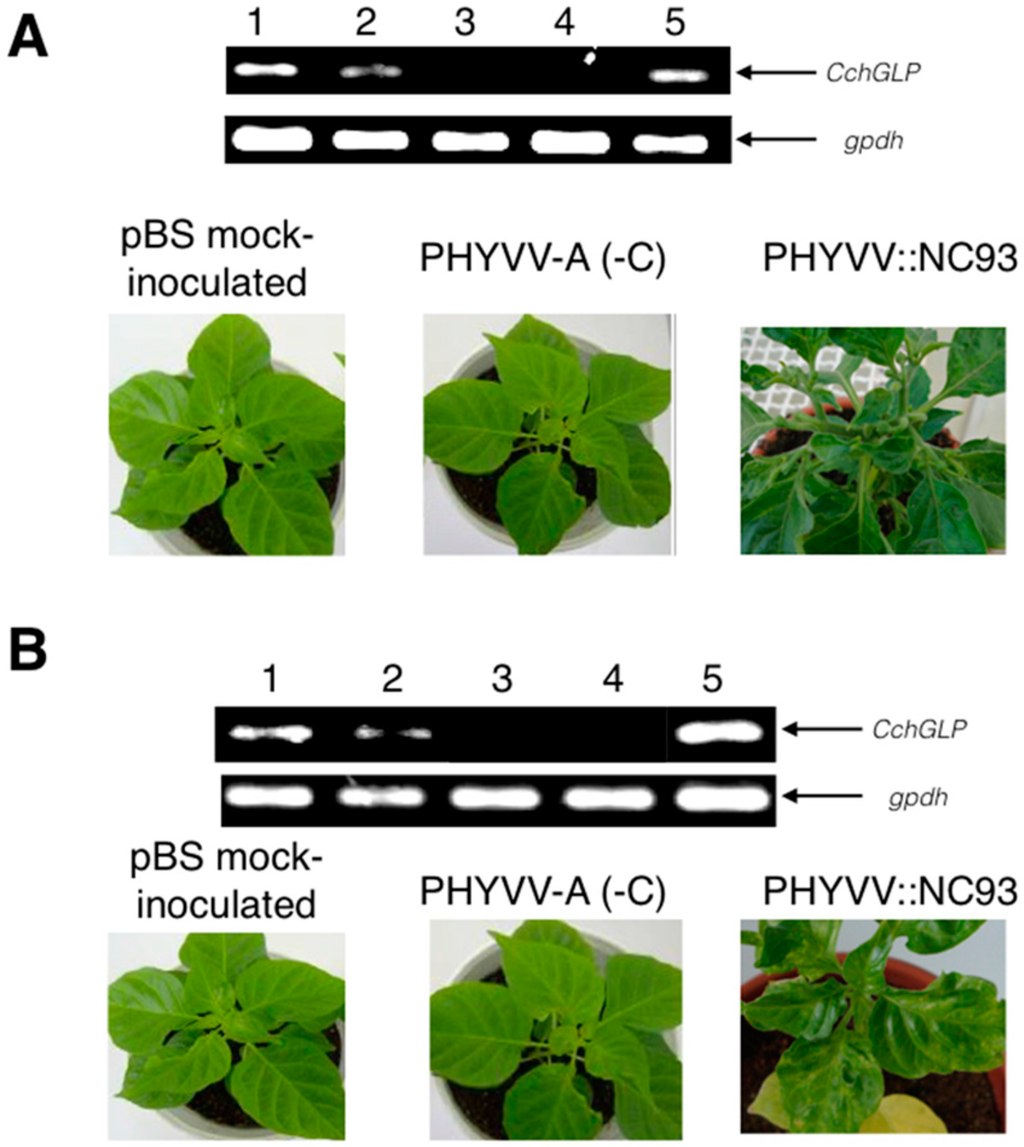 Viruses 07 02930 g002 1024