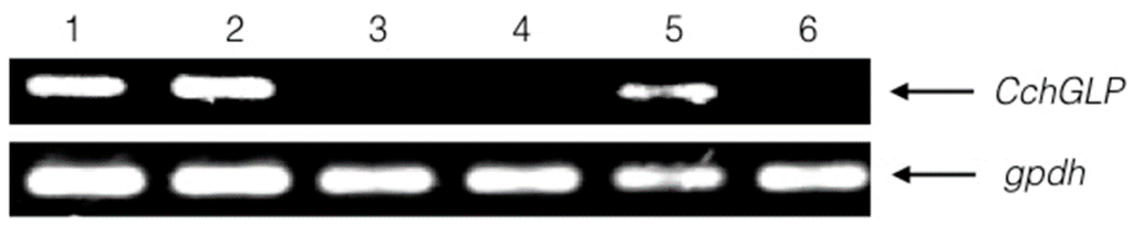 Viruses 07 02930 g005 1024