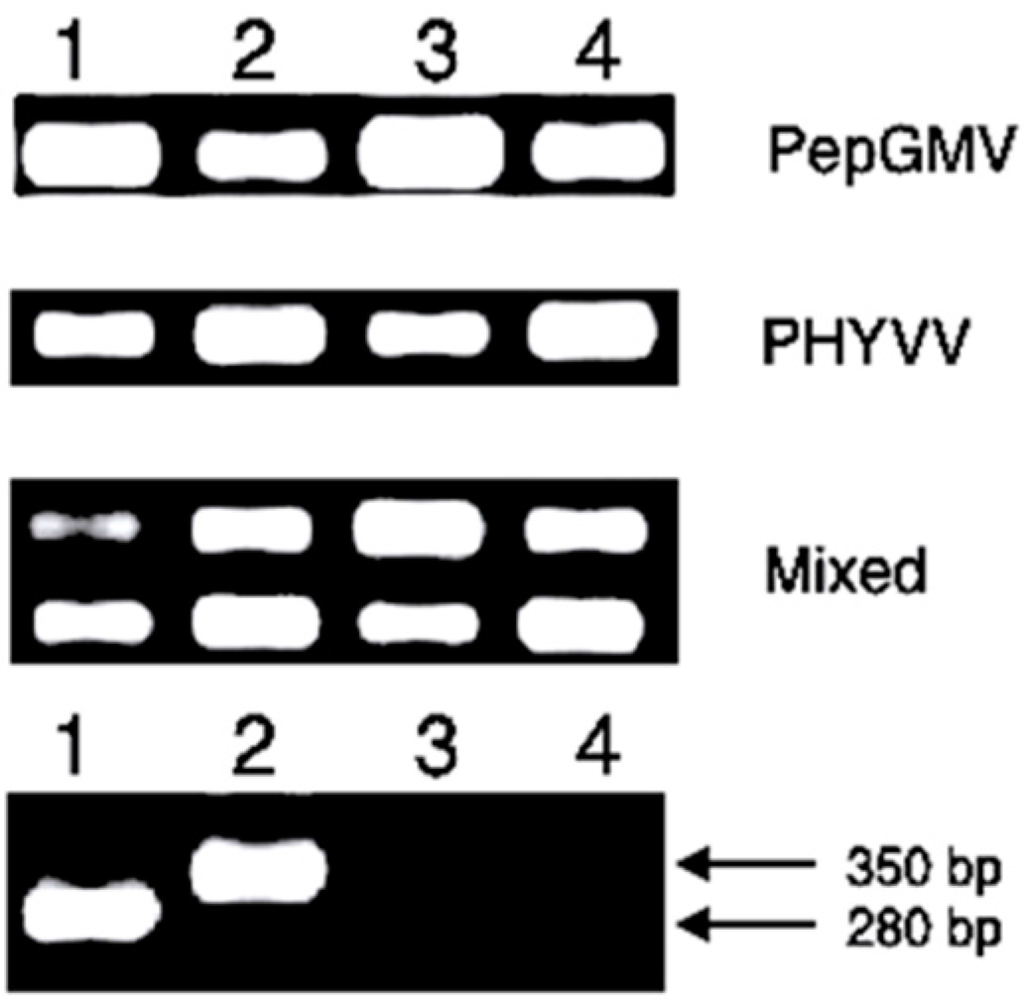 Viruses 07 02930 g006 1024