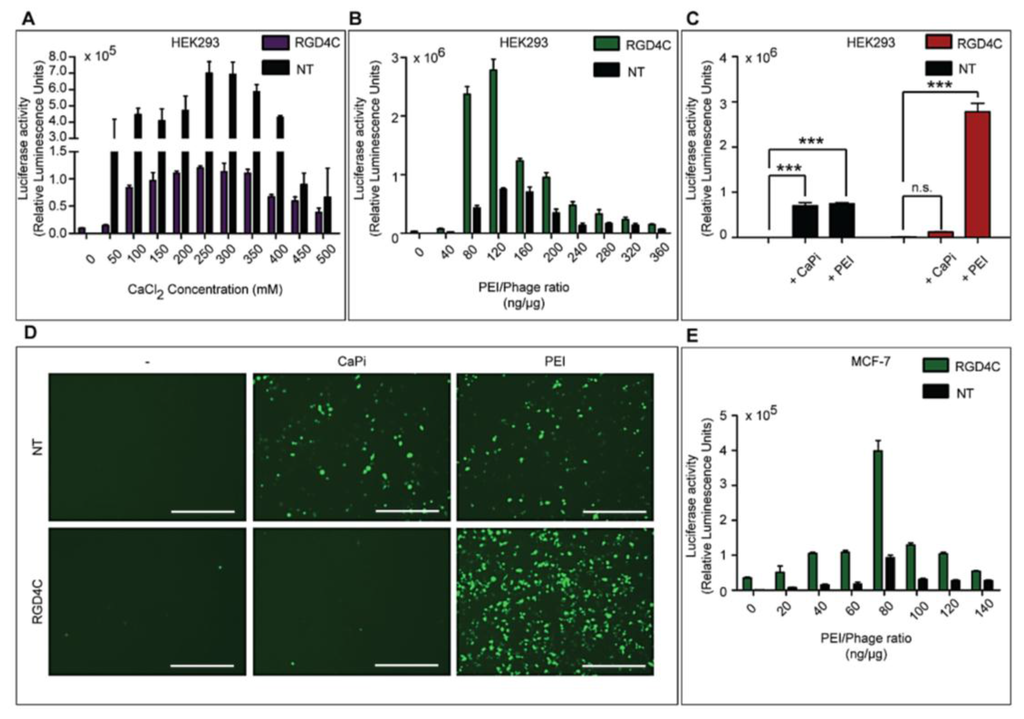 Viruses 07 02951 g006 1024