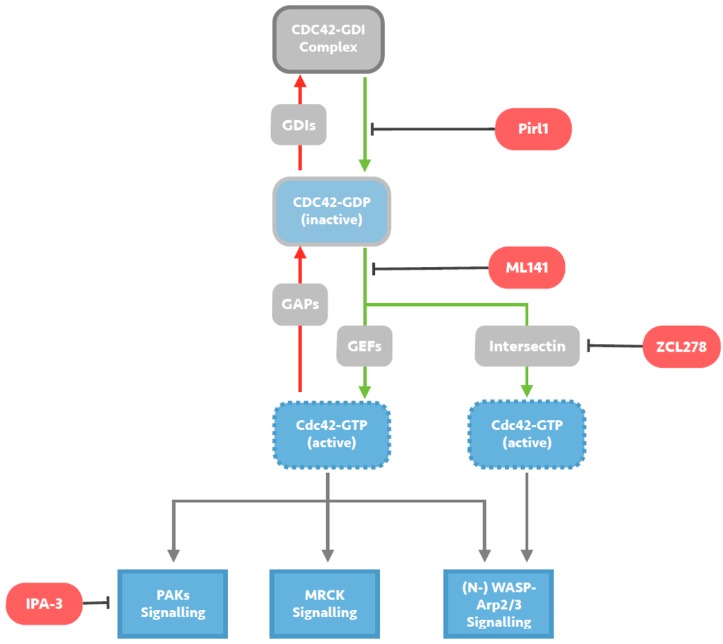 Viruses 07 02955 g002 1024