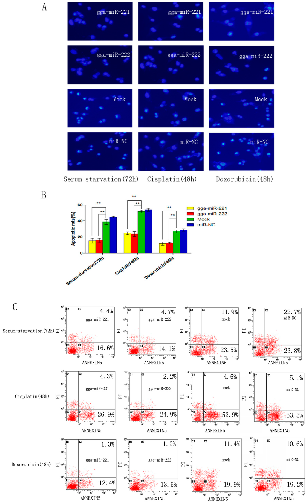 Viruses 07 02956 g003 1024