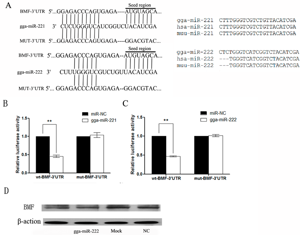 Viruses 07 02956 g004 1024