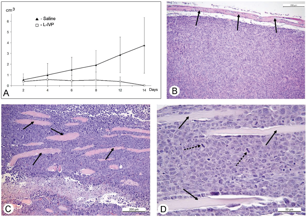 Viruses 08 00020 g004 1024