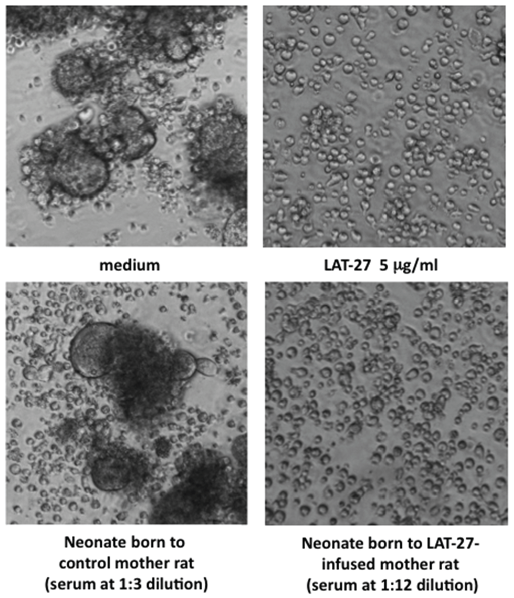 Viruses 08 00041 g001 1024