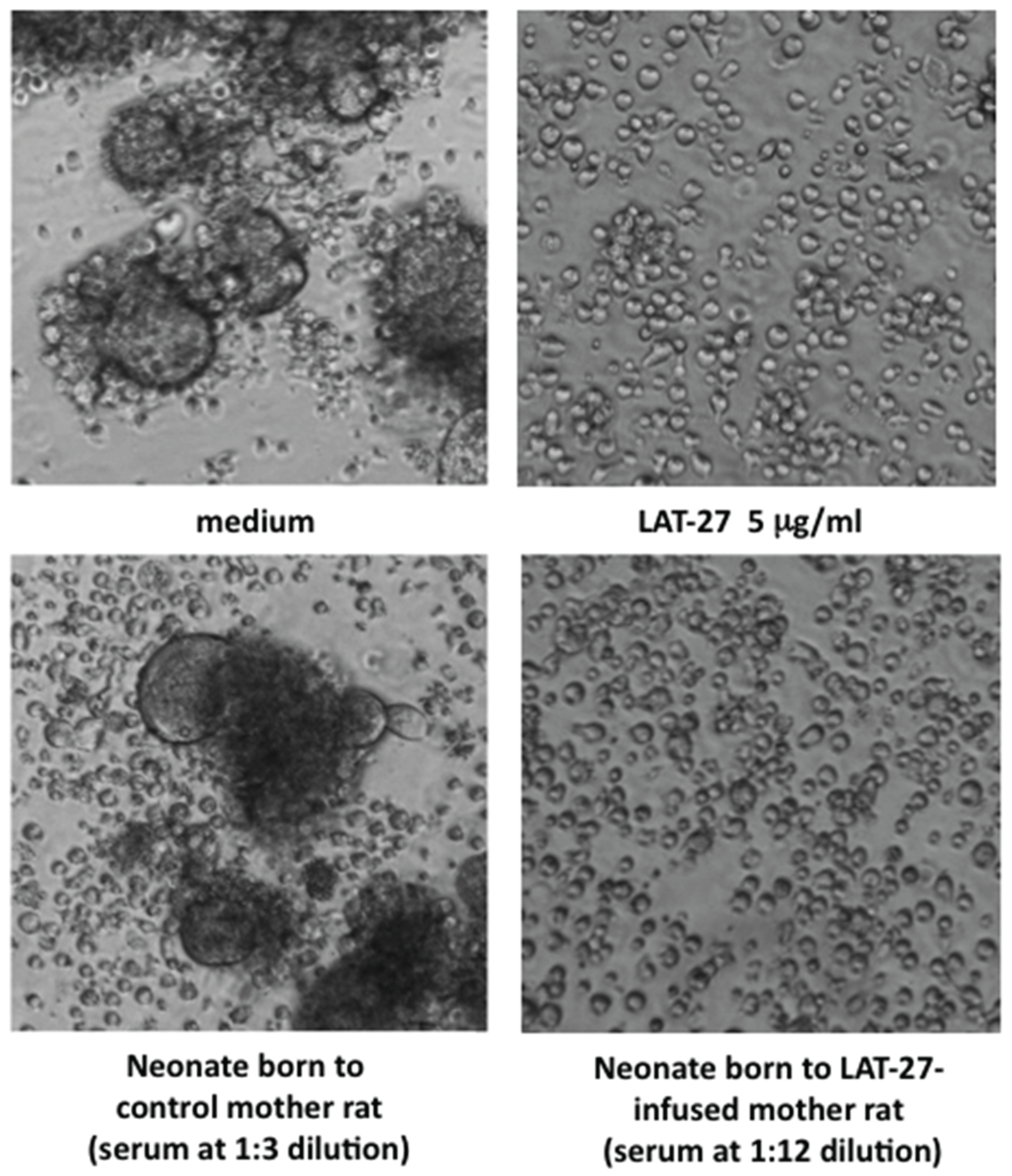 Viruses 08 00041 g001