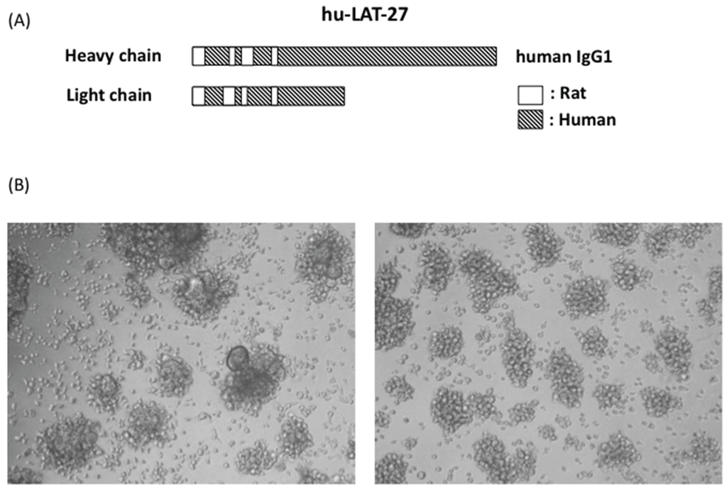 Viruses 08 00041 g003 1024