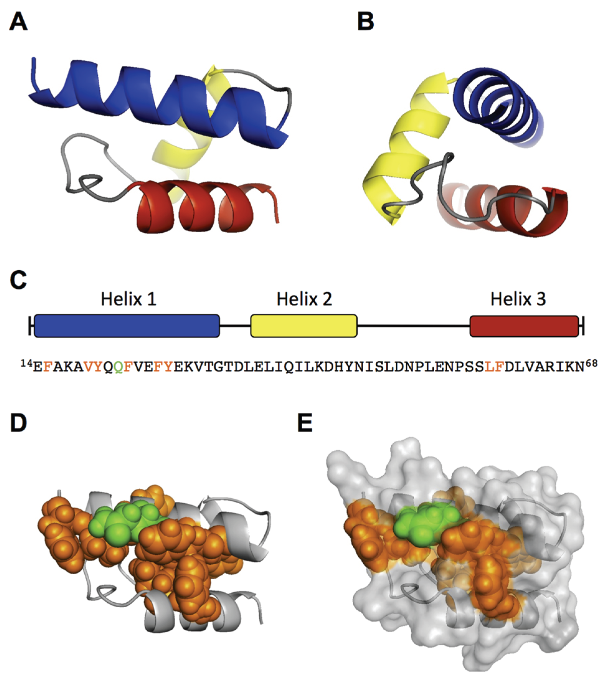 Viruses 08 00061 g003