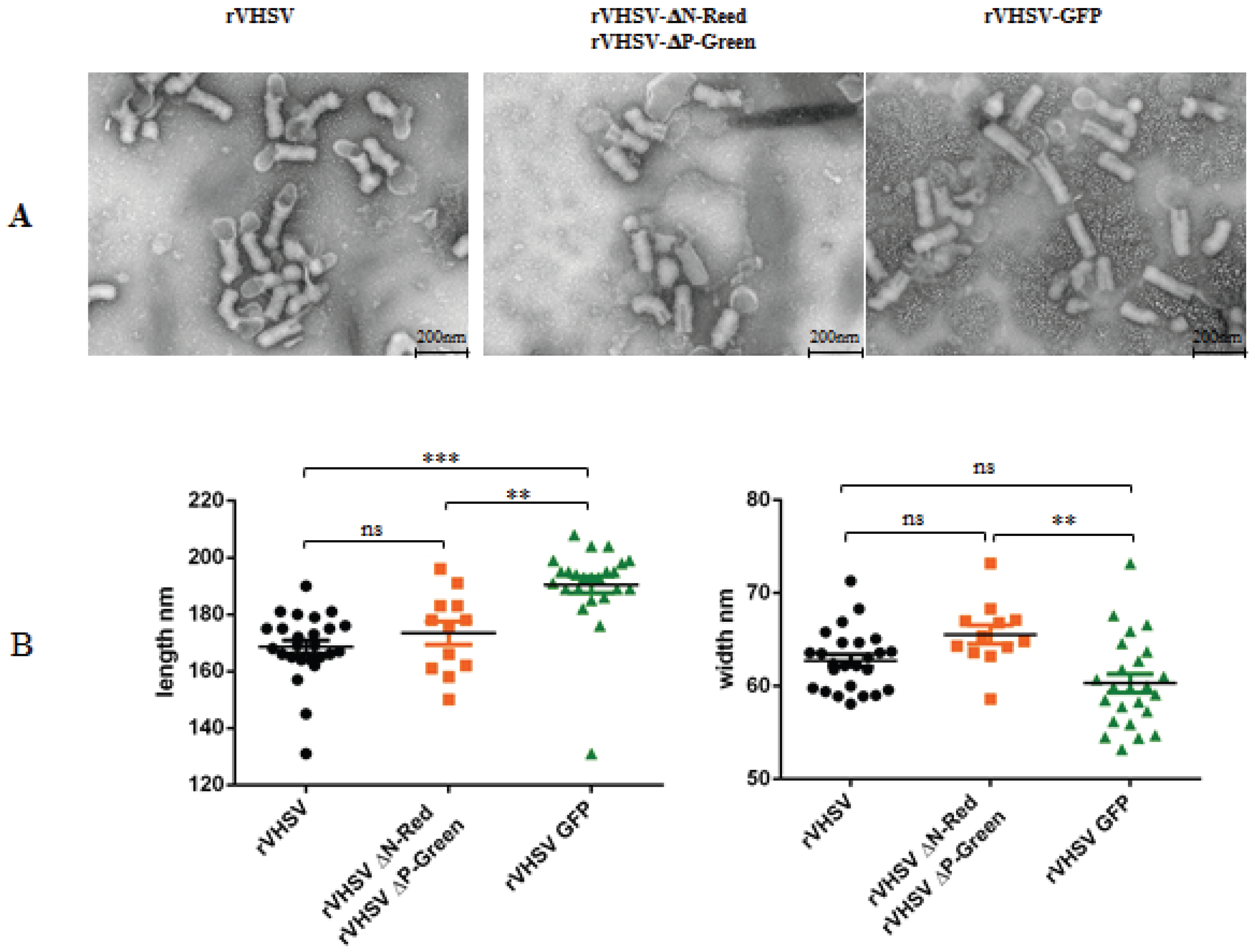 Viruses 08 00069 g006