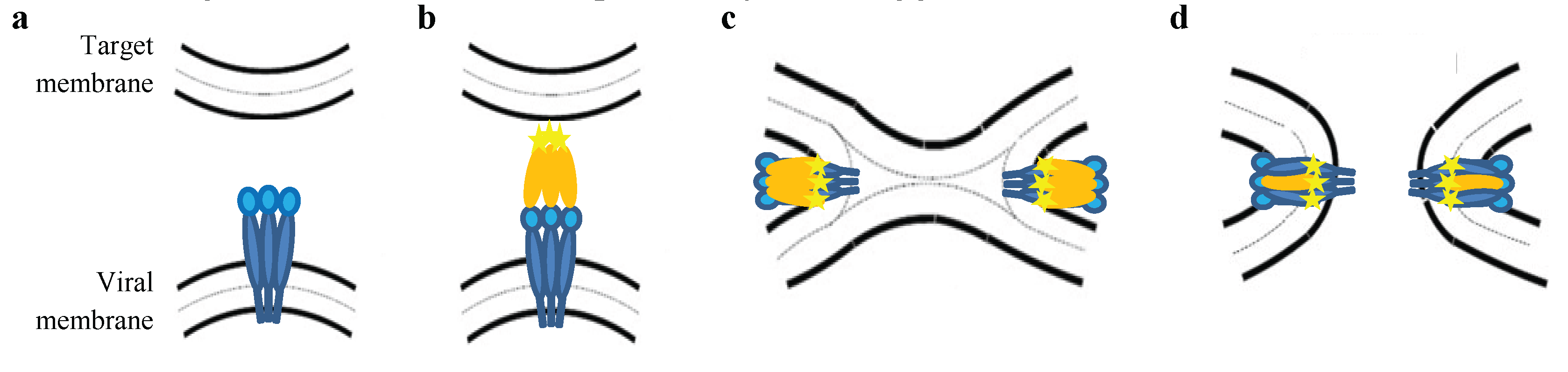 Viruses 08 00088 g001