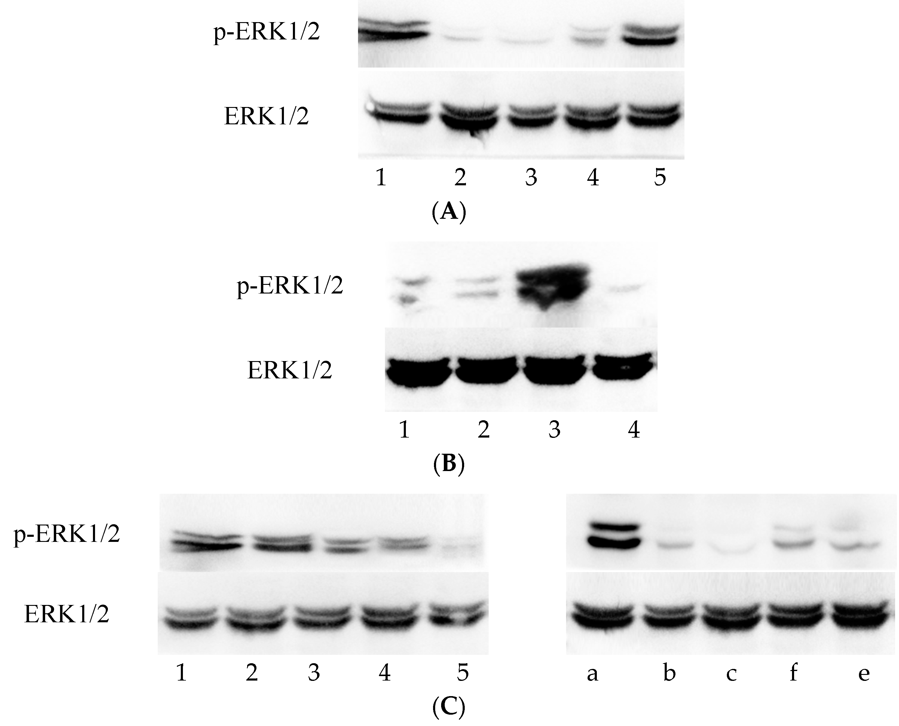 Viruses 08 00099 g001