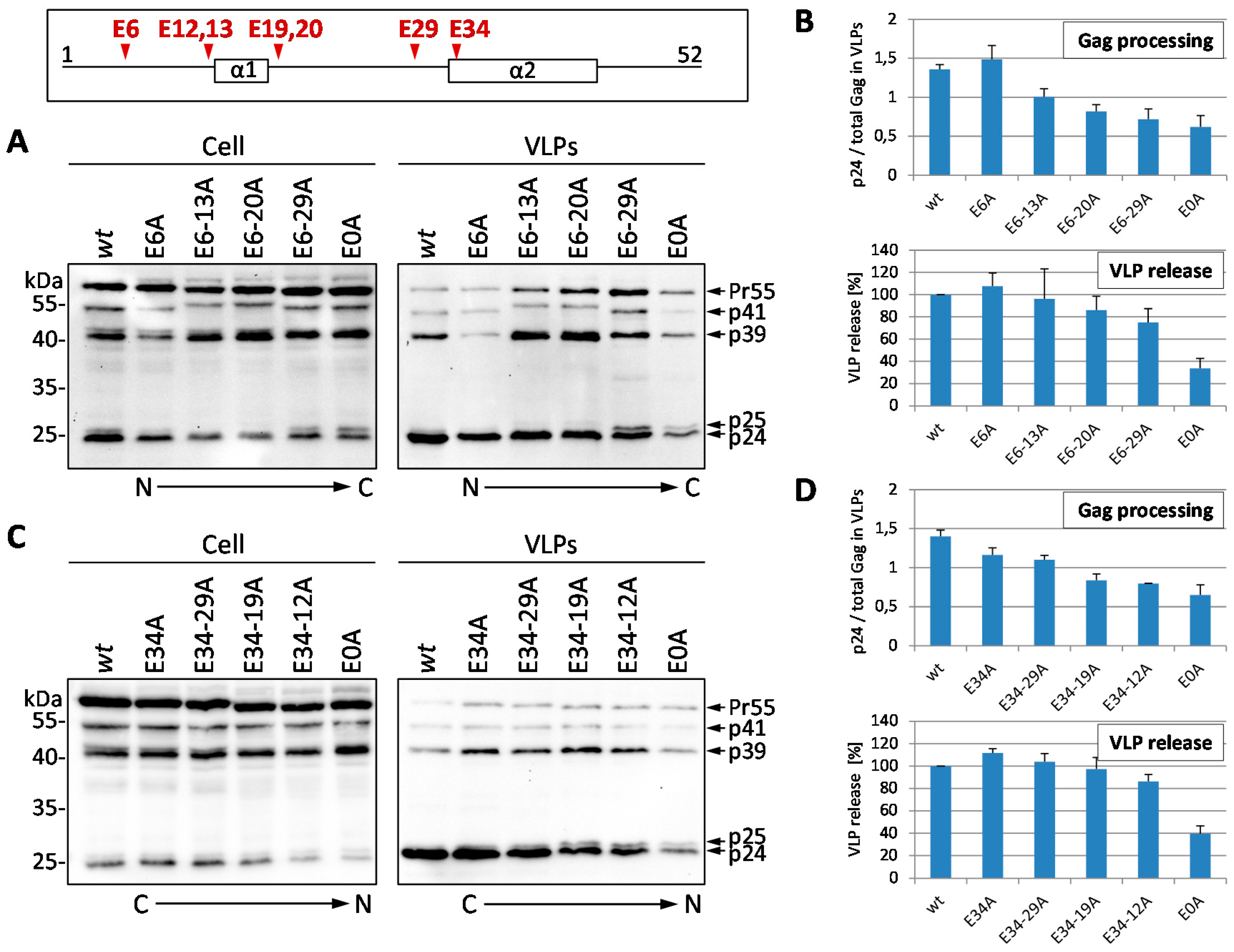 Viruses 08 00117 g002