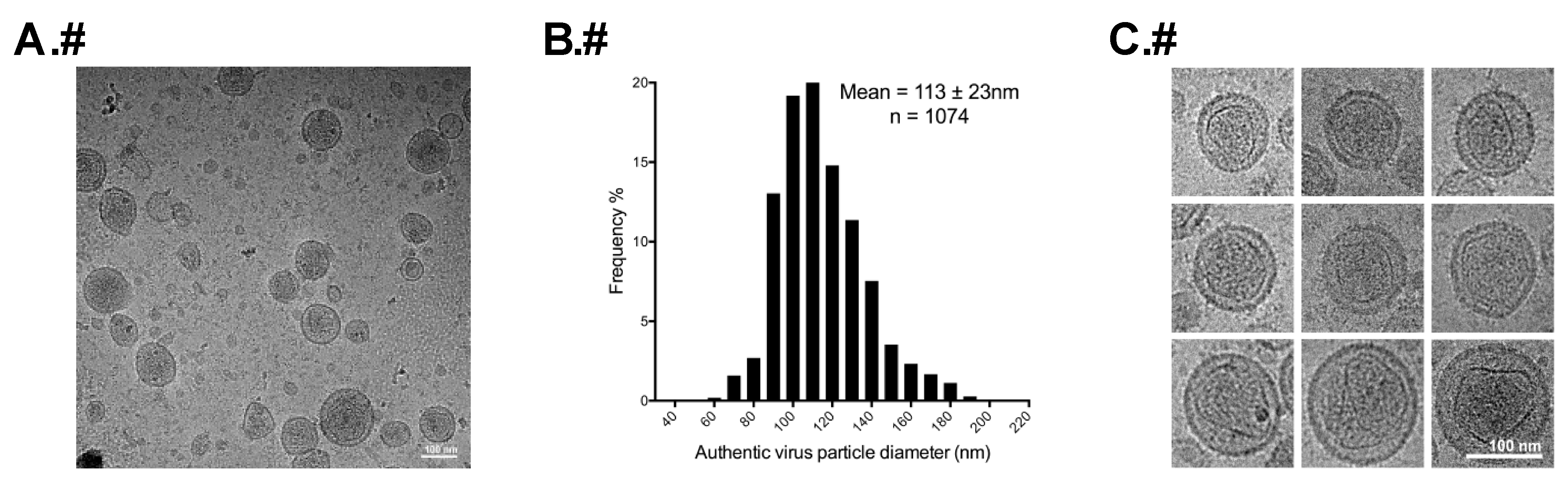 Viruses 08 00132 g003