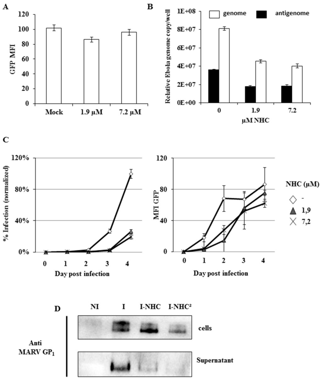 Viruses 08 00137 g001 1024