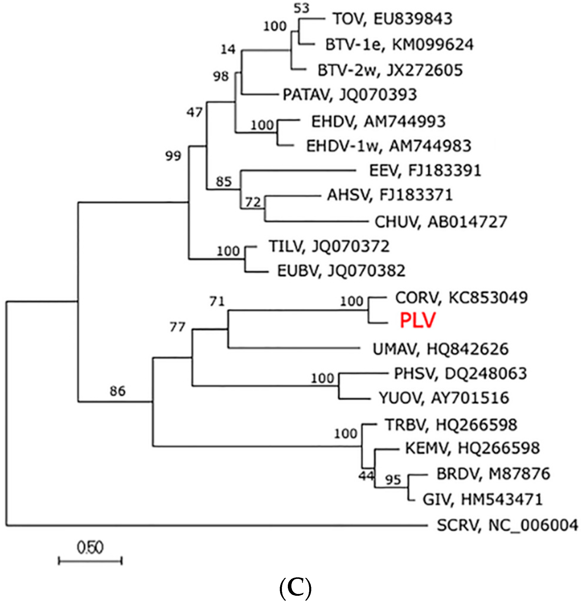 Viruses 08 00141 g002b