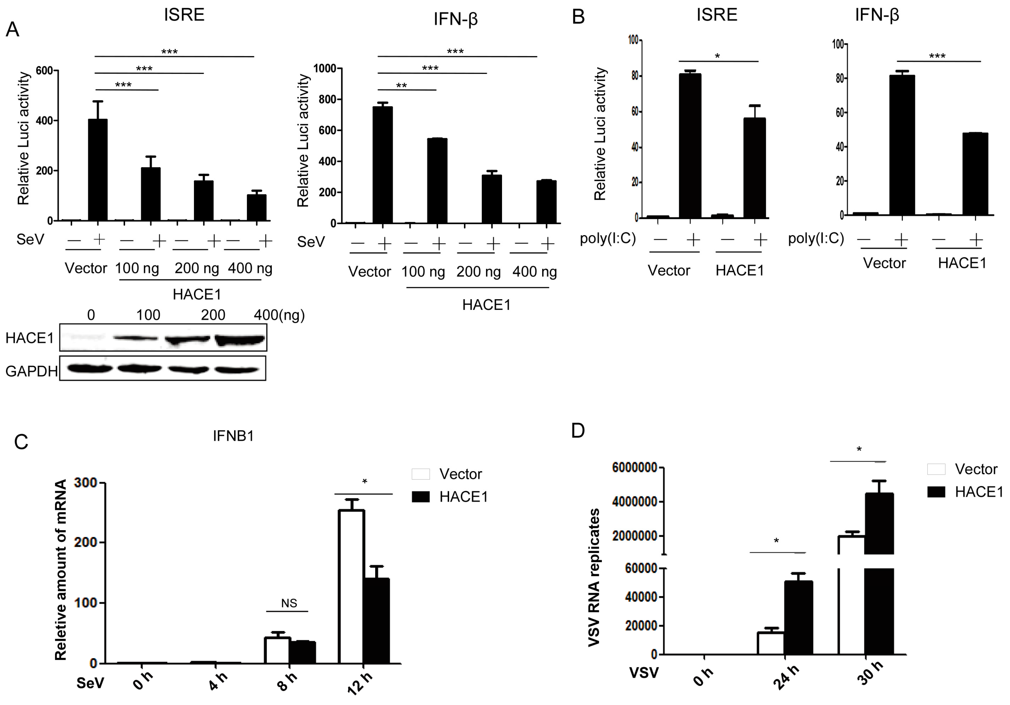 Viruses 08 00146 g001