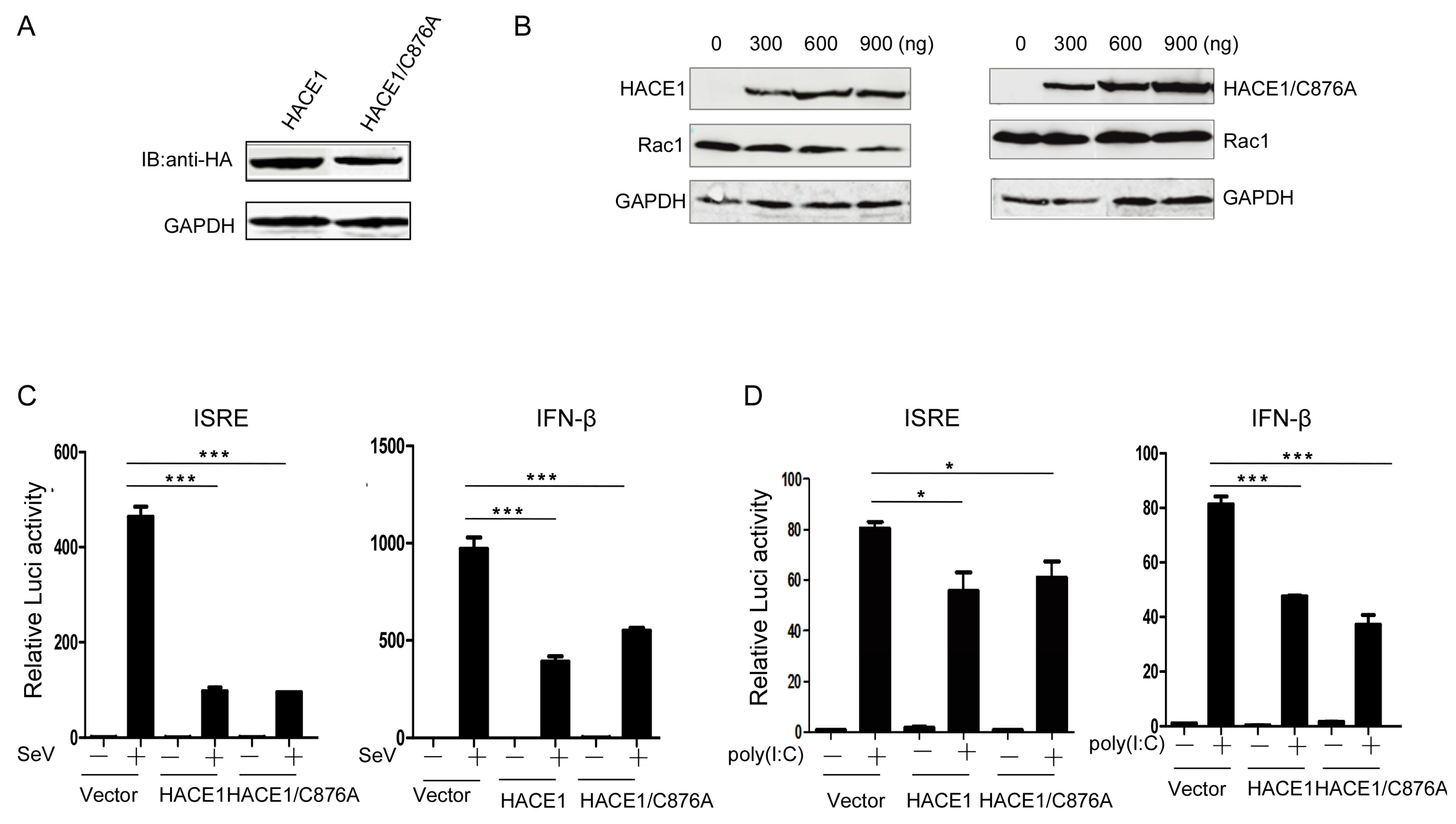 Viruses 08 00146 g003