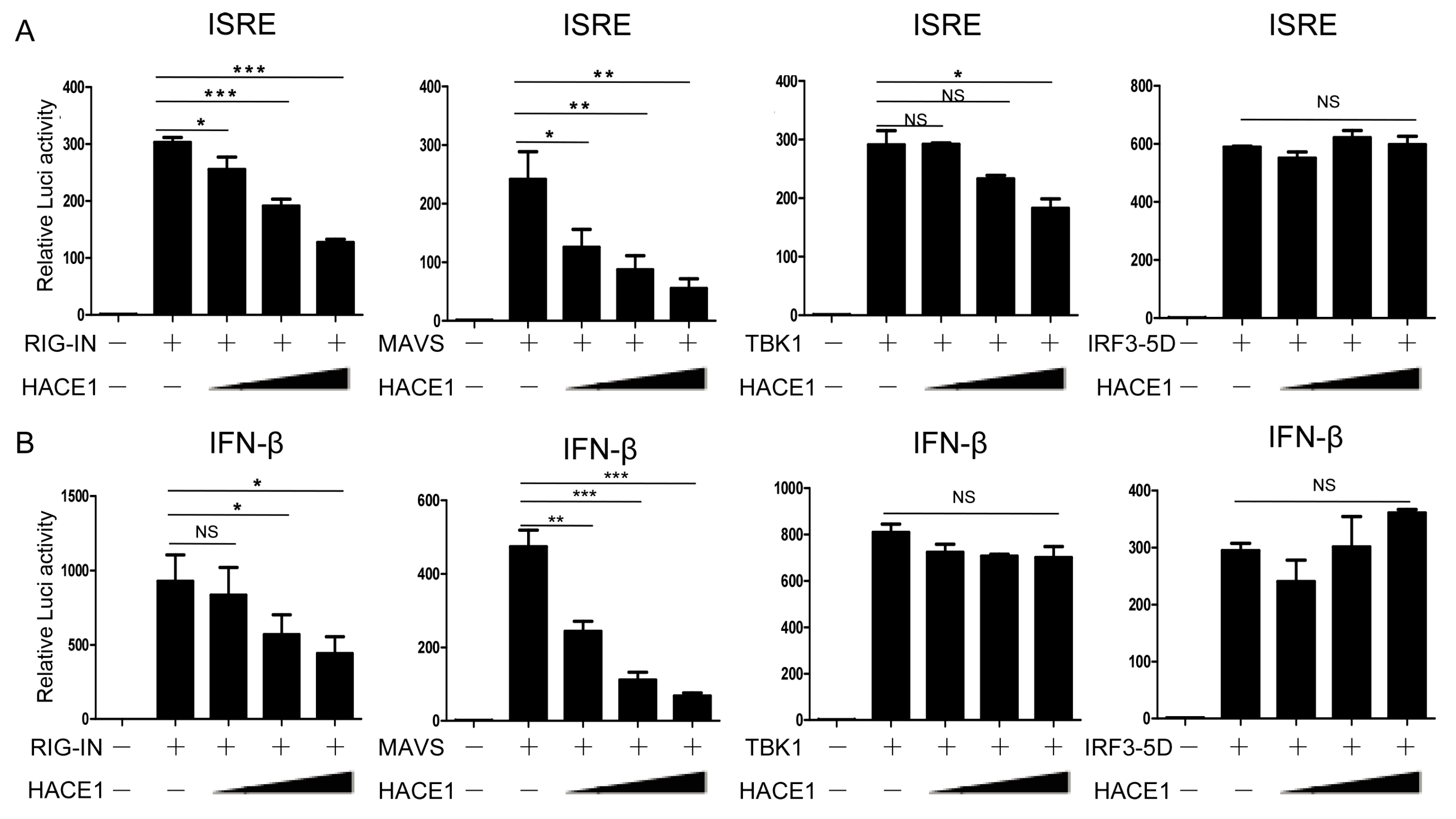 Viruses 08 00146 g004