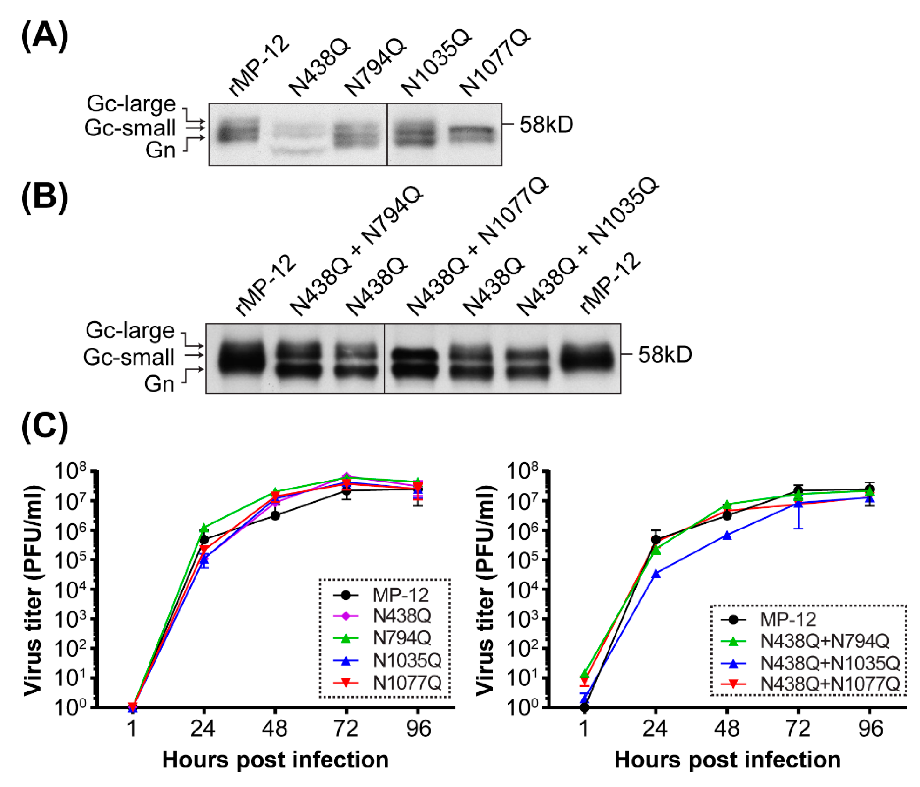Viruses 08 00149 g003