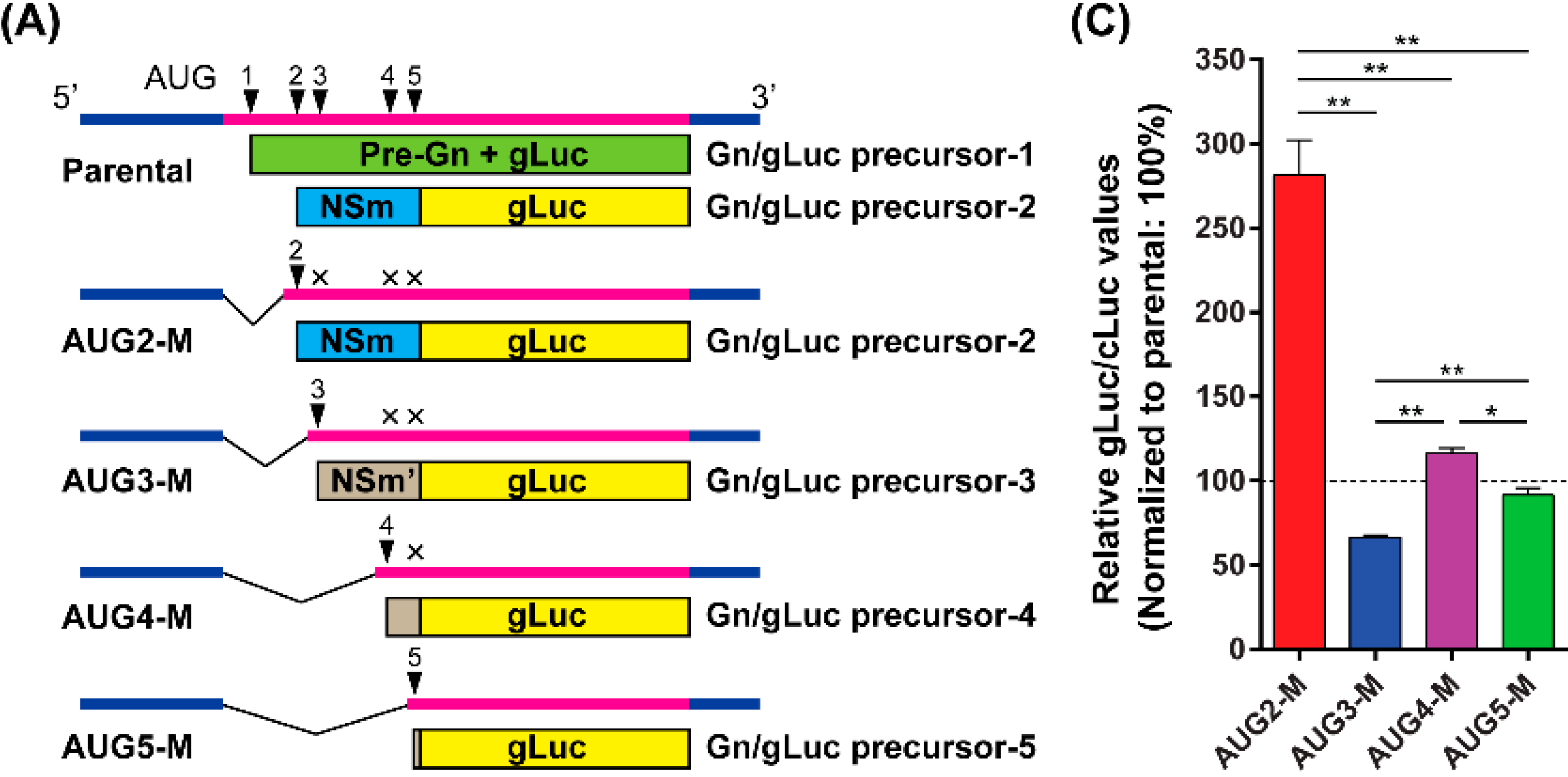 Viruses 08 00151 g003a