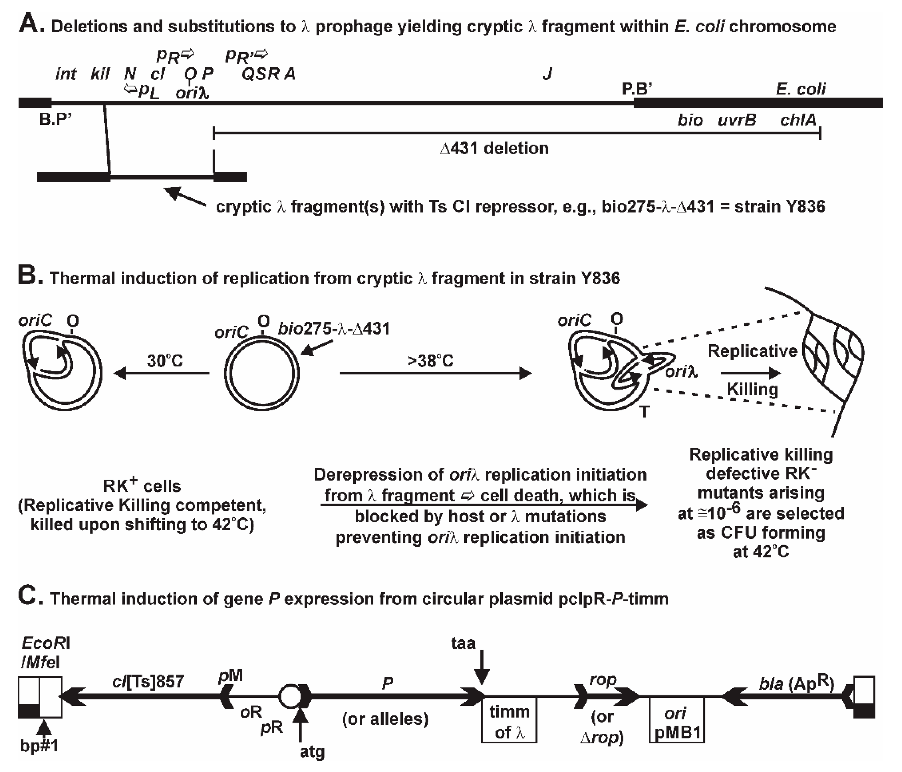 Viruses 08 00172 g001