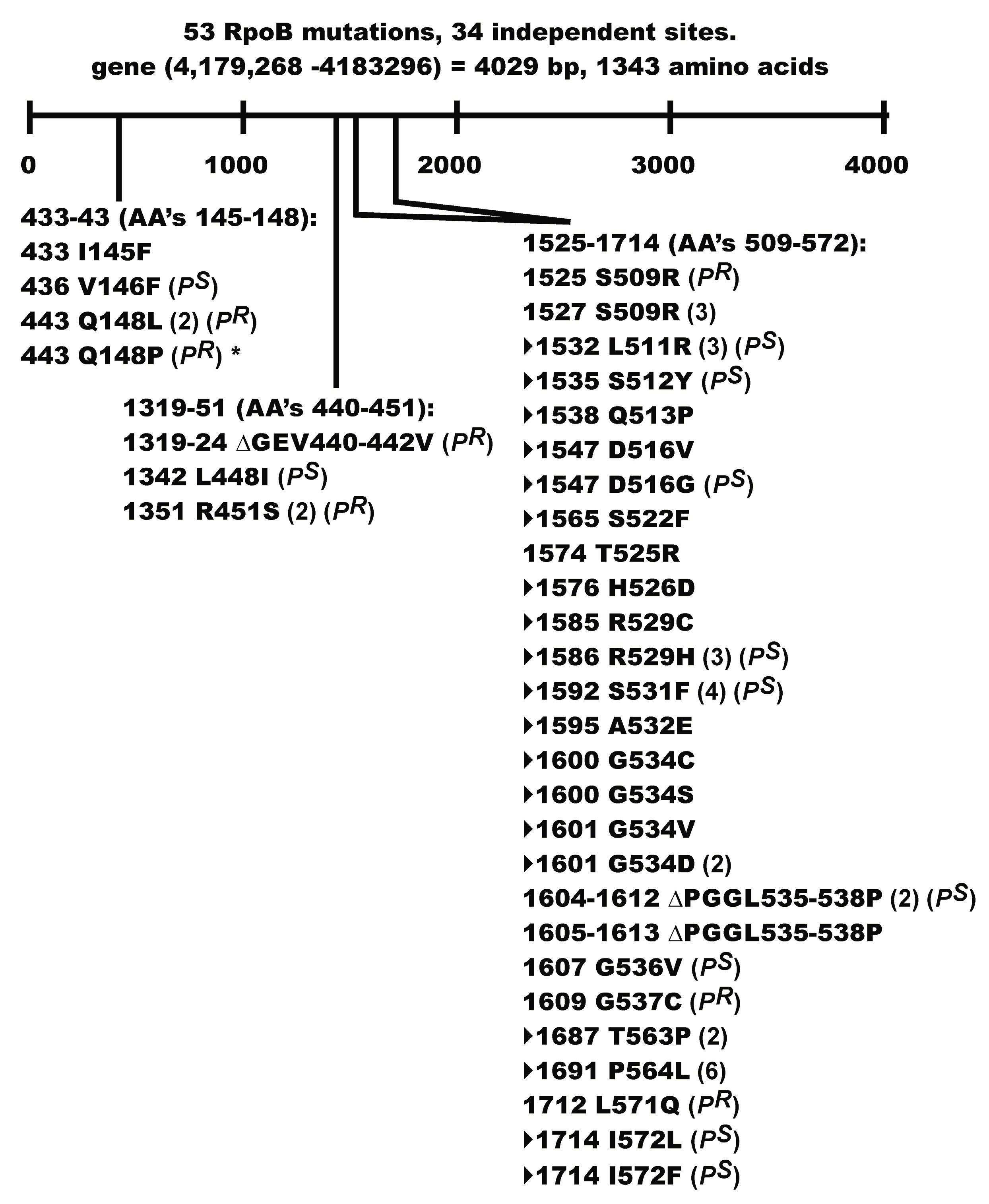 Viruses 08 00172 g004