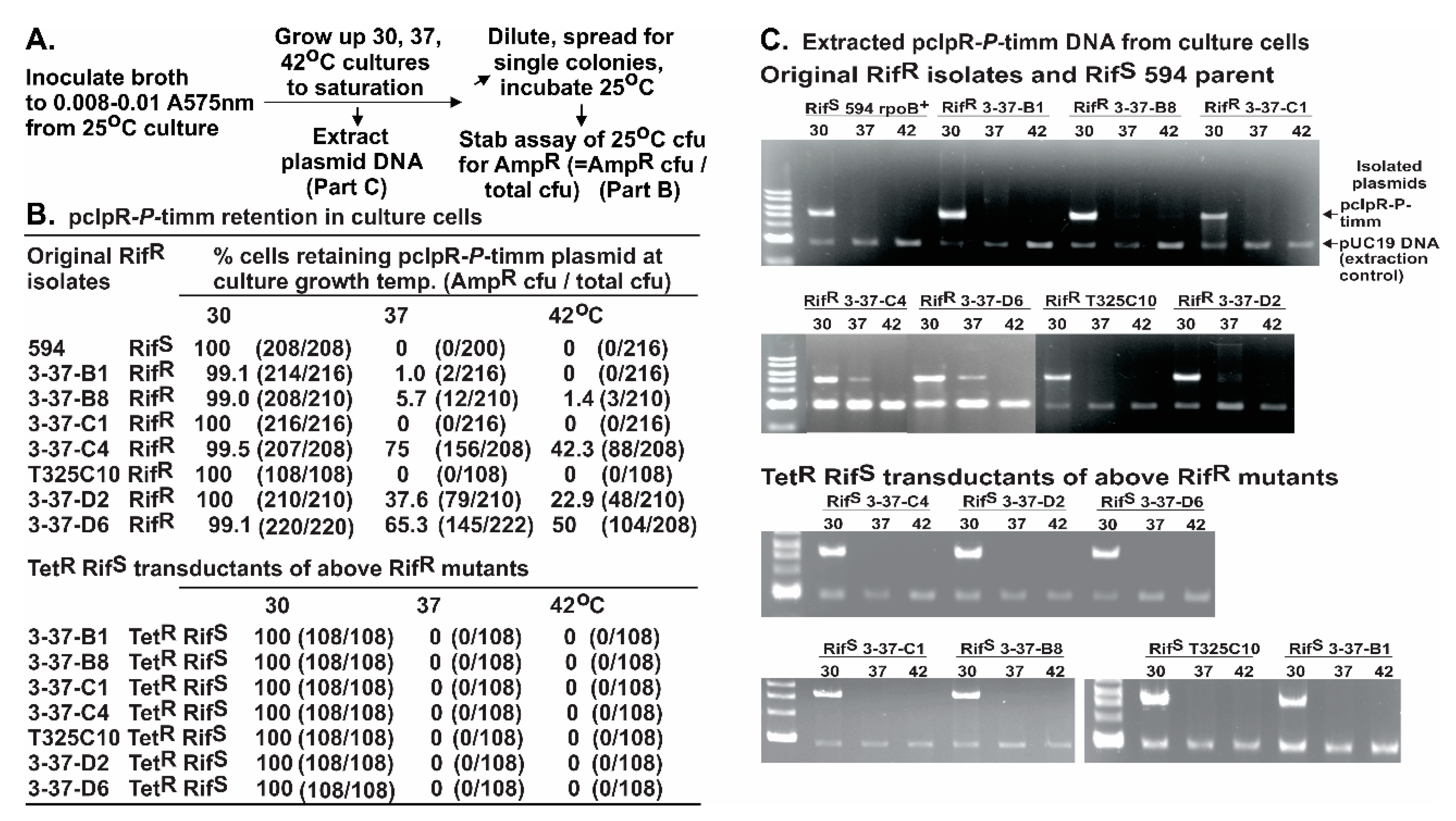 Viruses 08 00172 g005