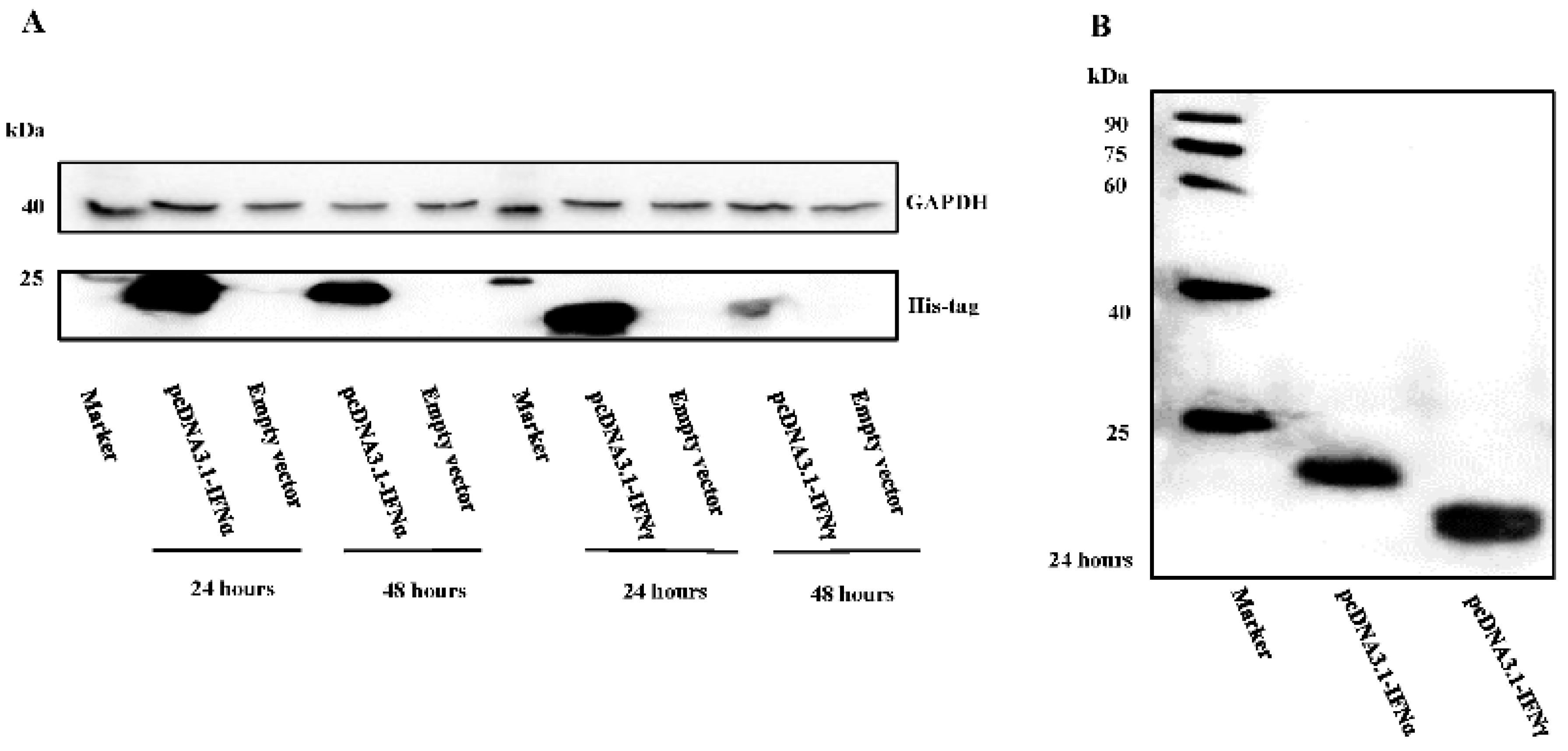 Viruses 08 00195 g001