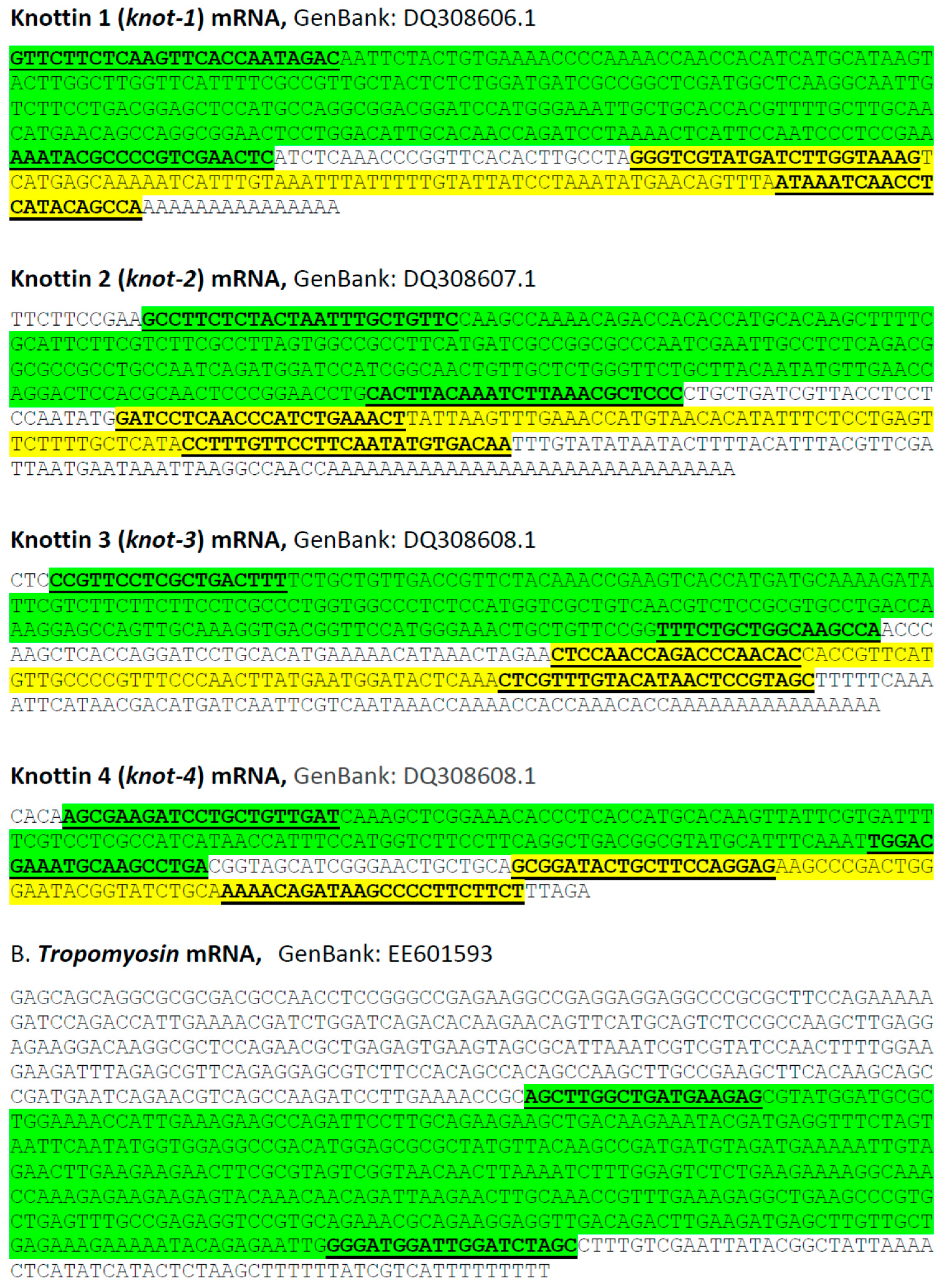 Viruses 08 00205 g001