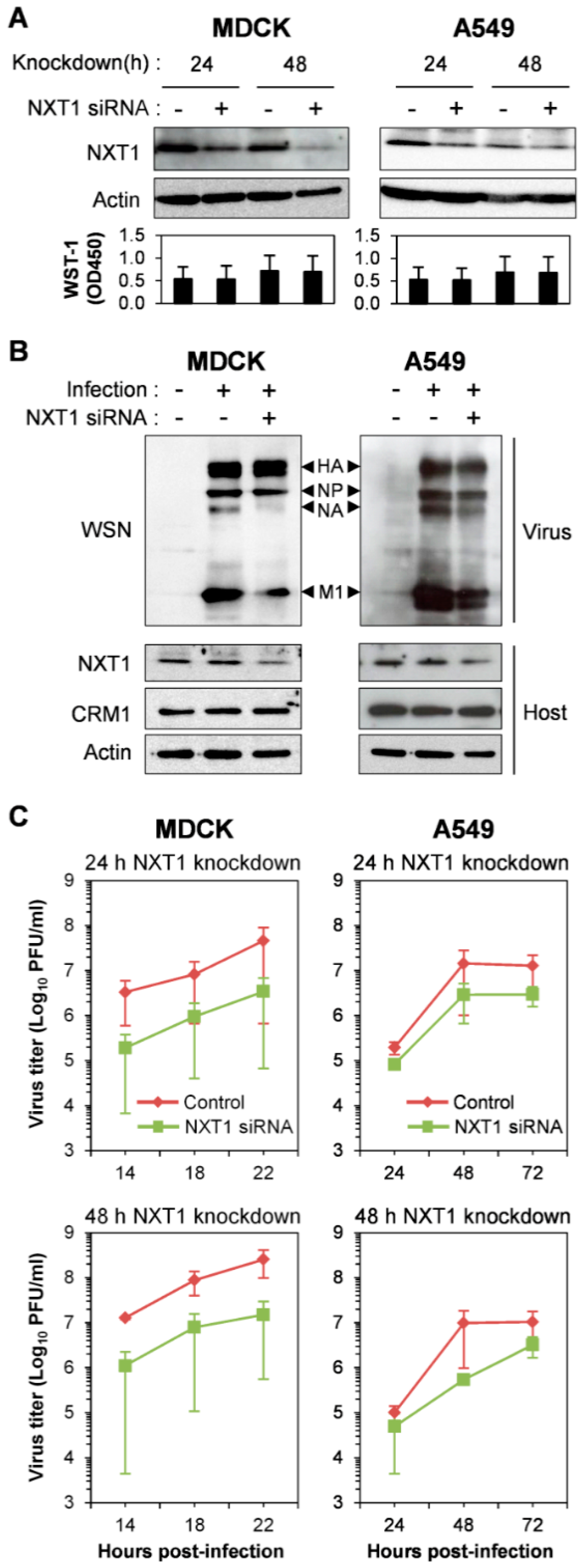 Viruses 08 00209 g002