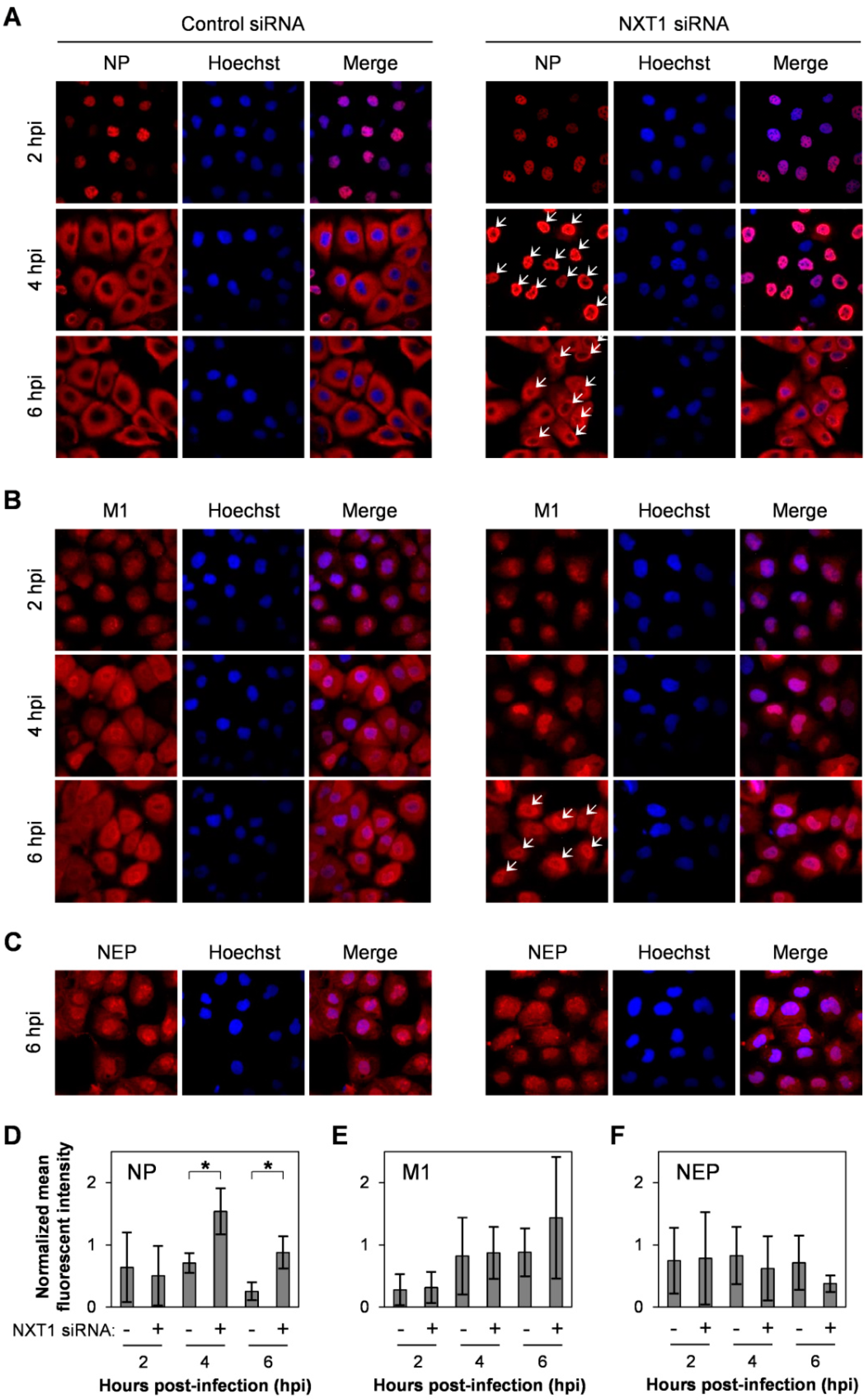Viruses 08 00209 g003