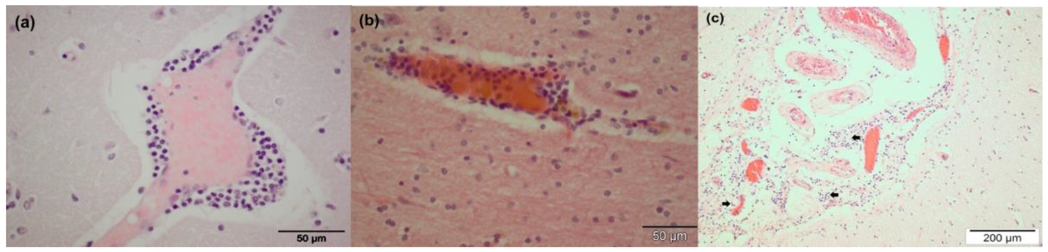 Viruses 08 00262 g001