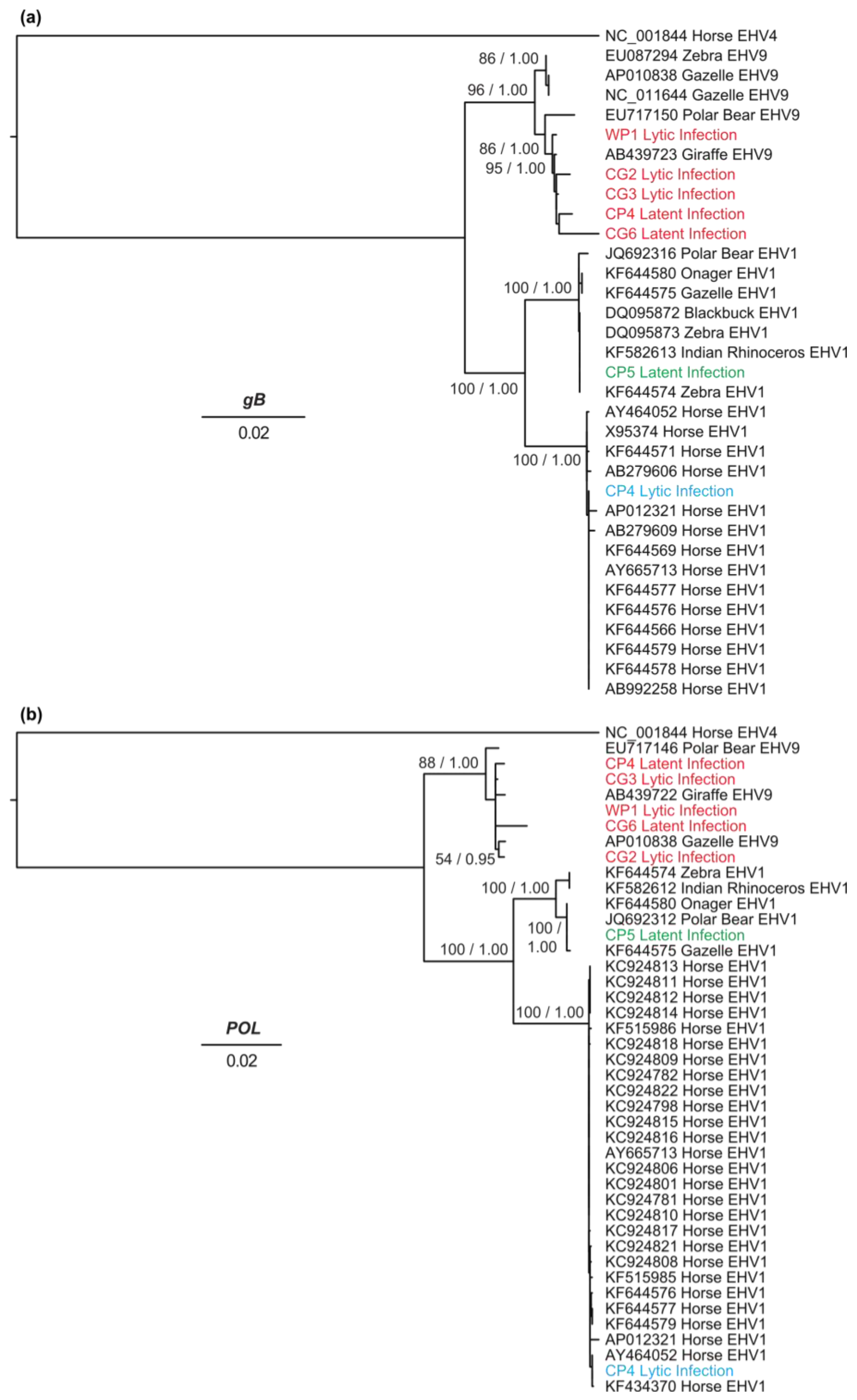 Viruses 08 00262 g003