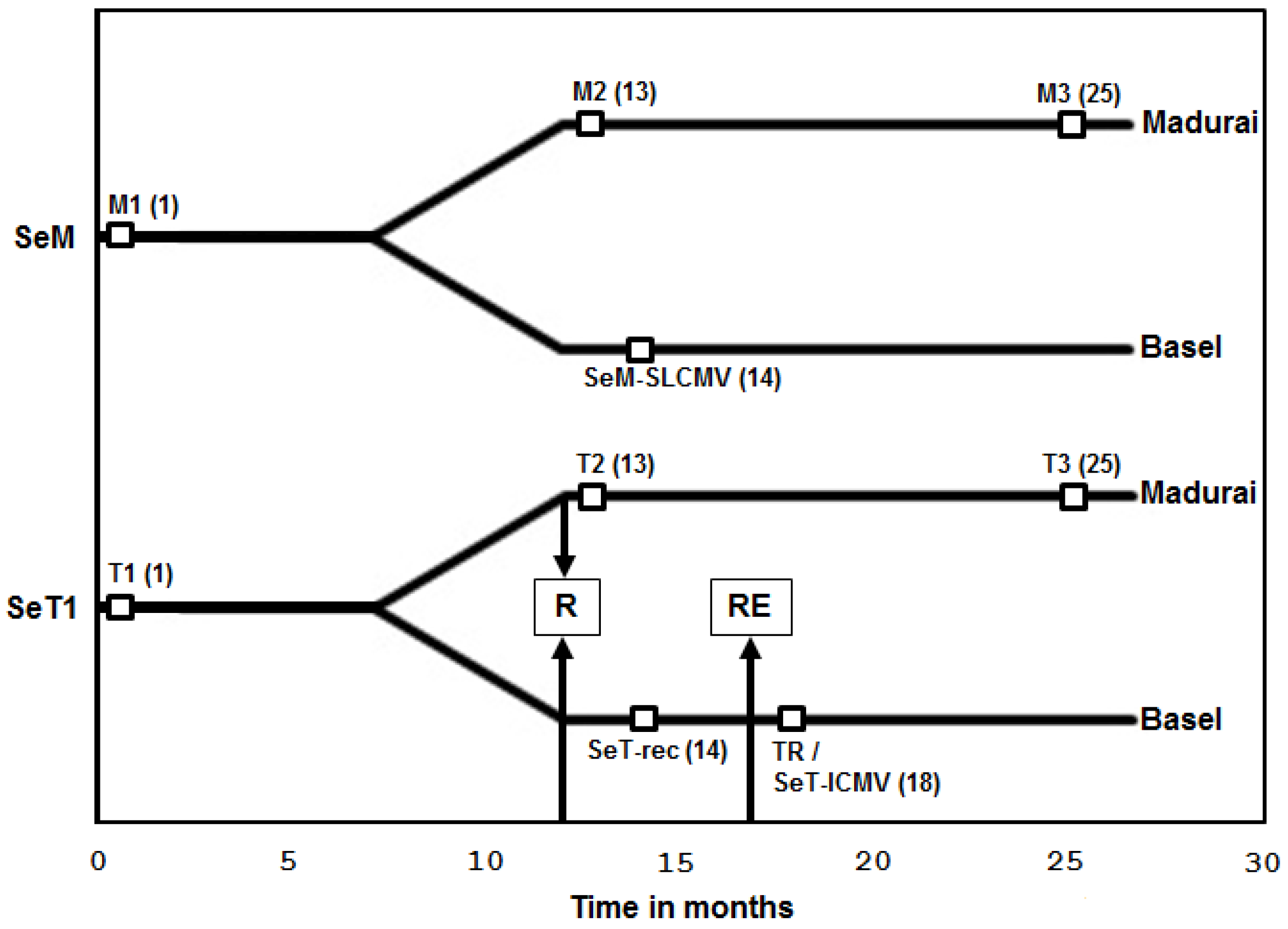 Viruses 08 00264 g001