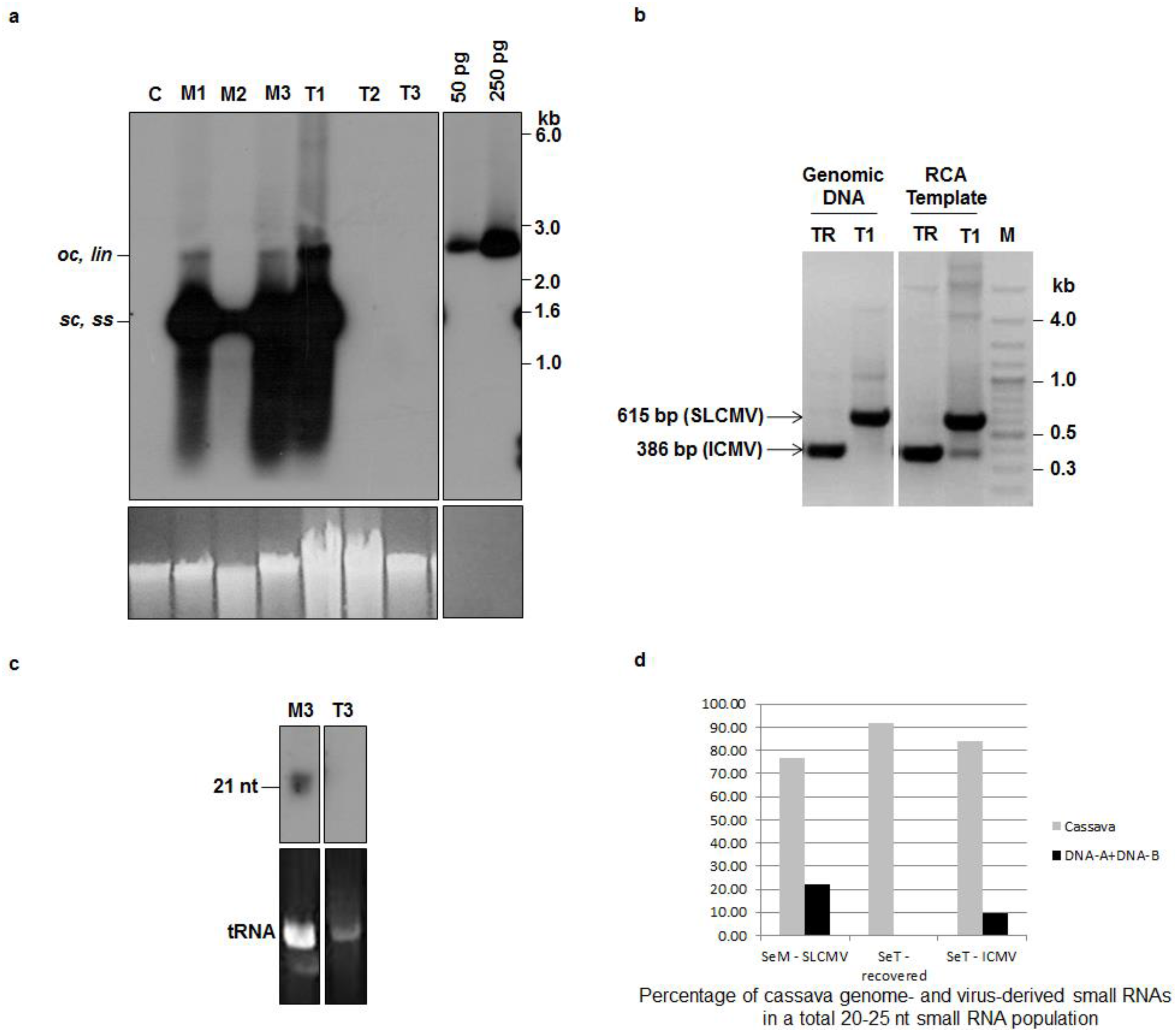 Viruses 08 00264 g002