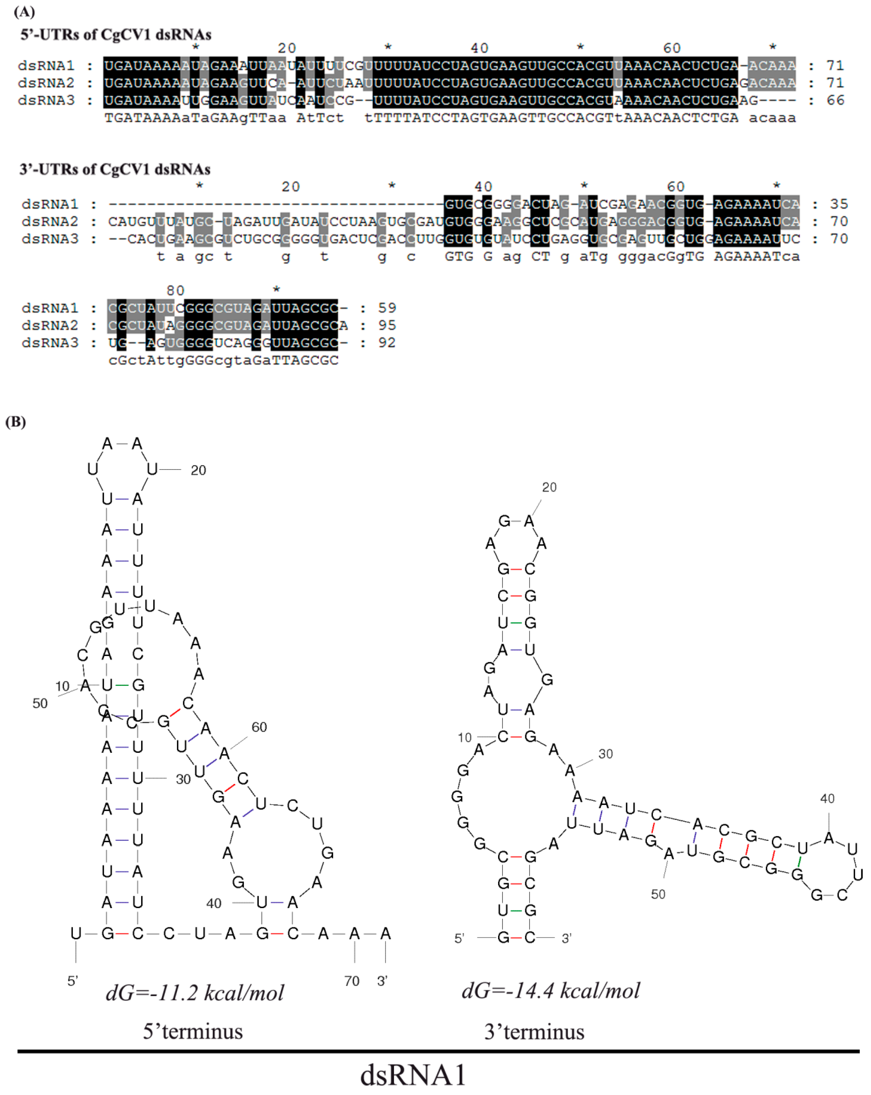 Viruses 08 00268 g003