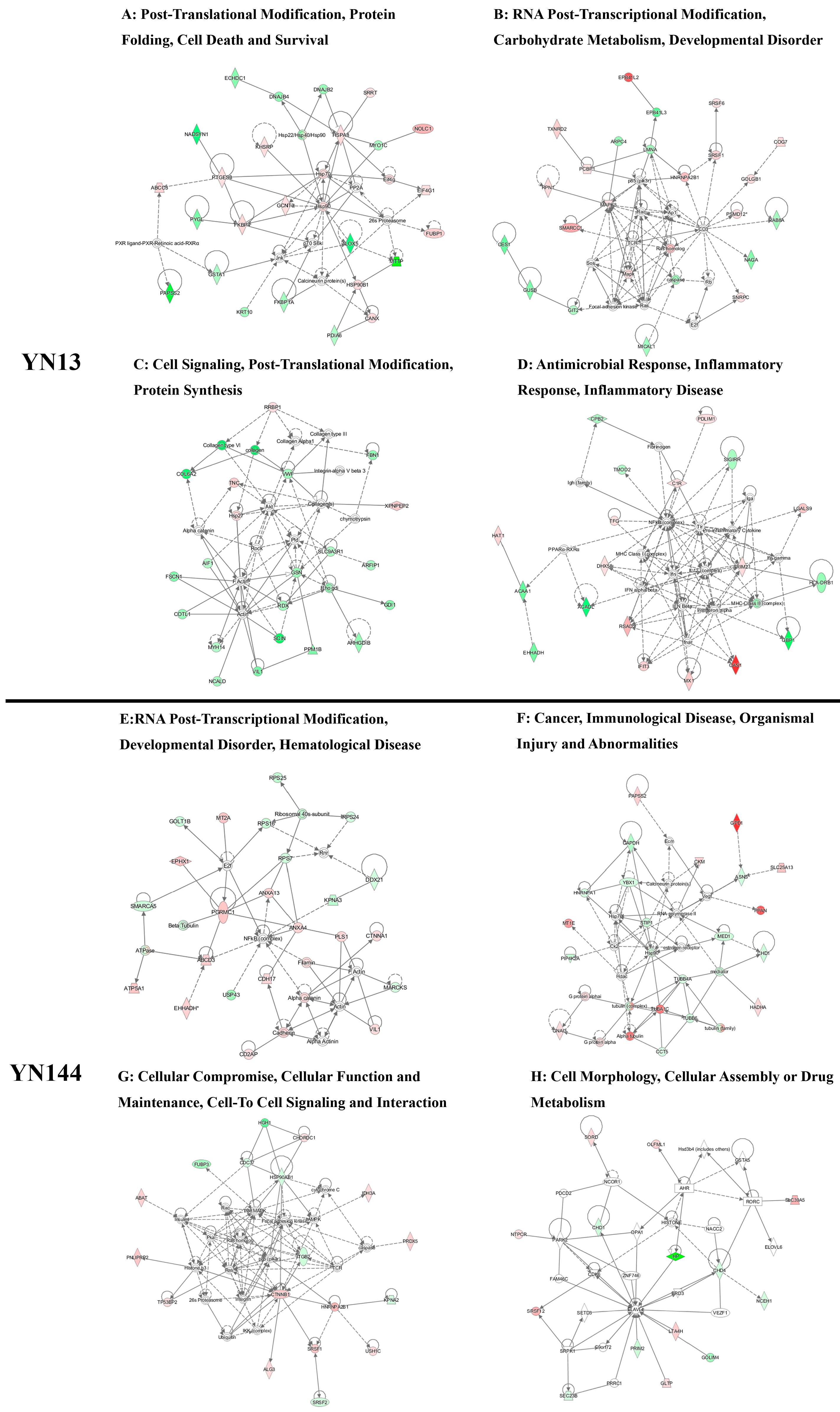 Viruses 08 00323 g004
