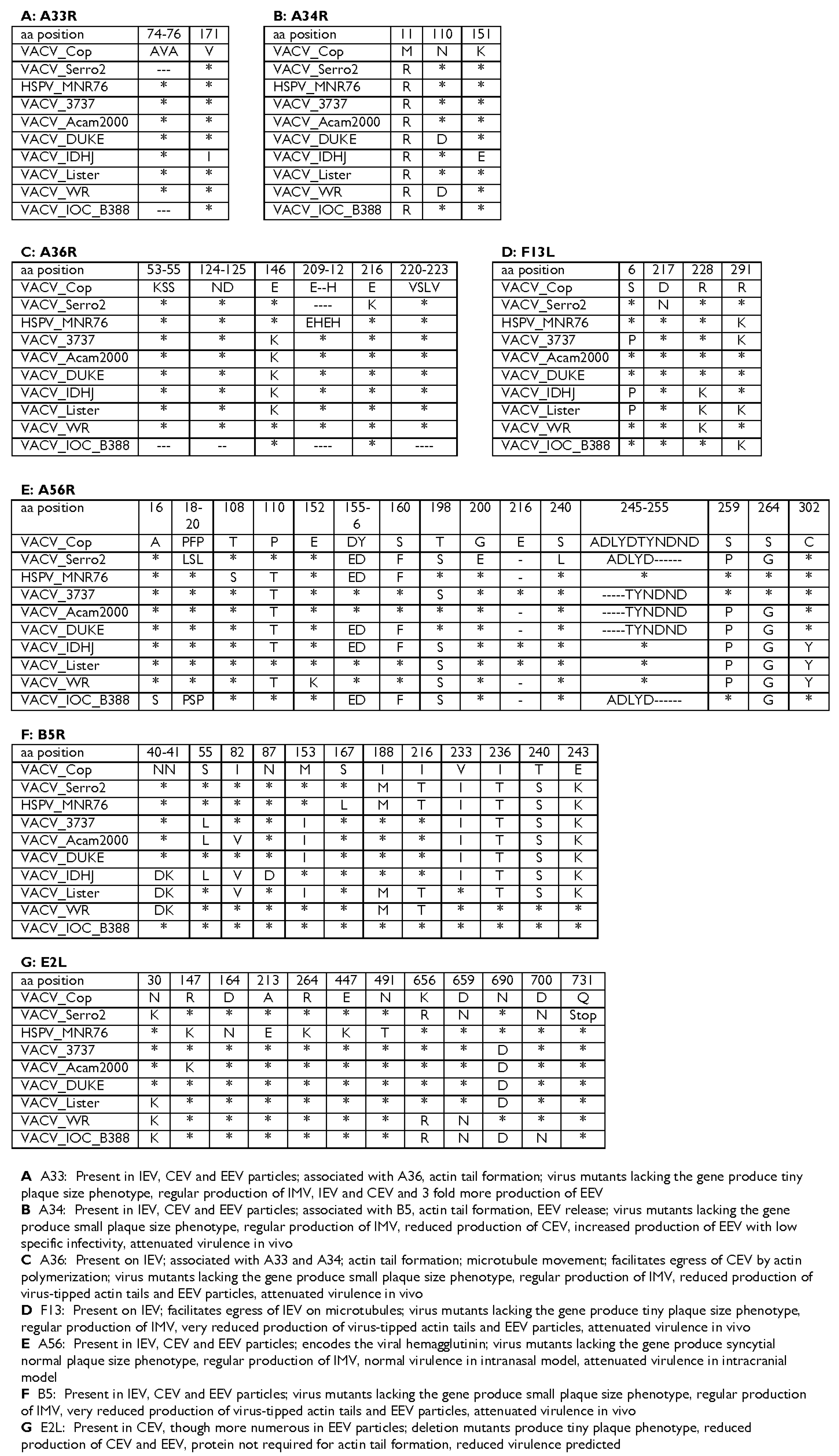 Viruses 08 00328 g004