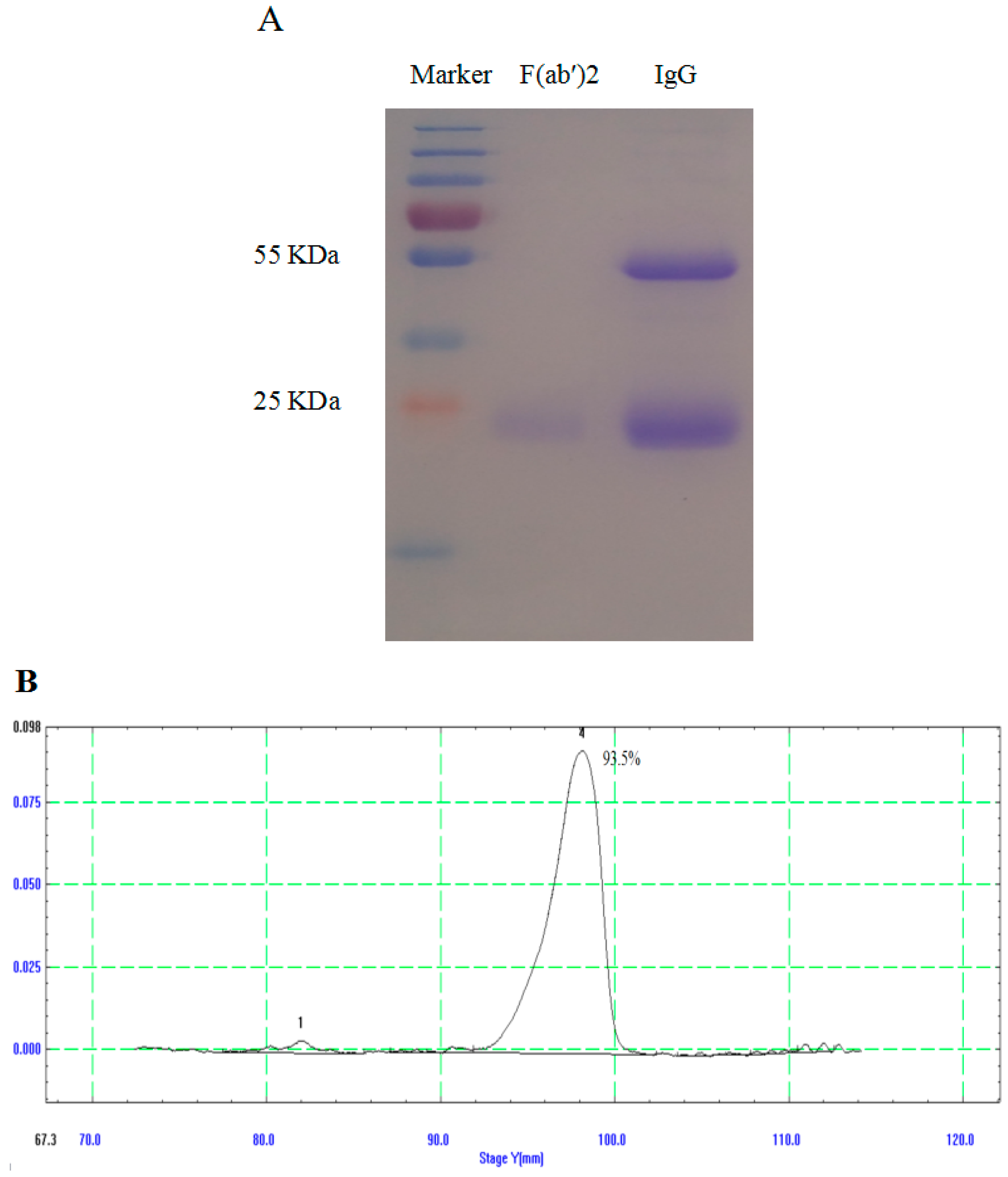 Viruses 08 00332 g002
