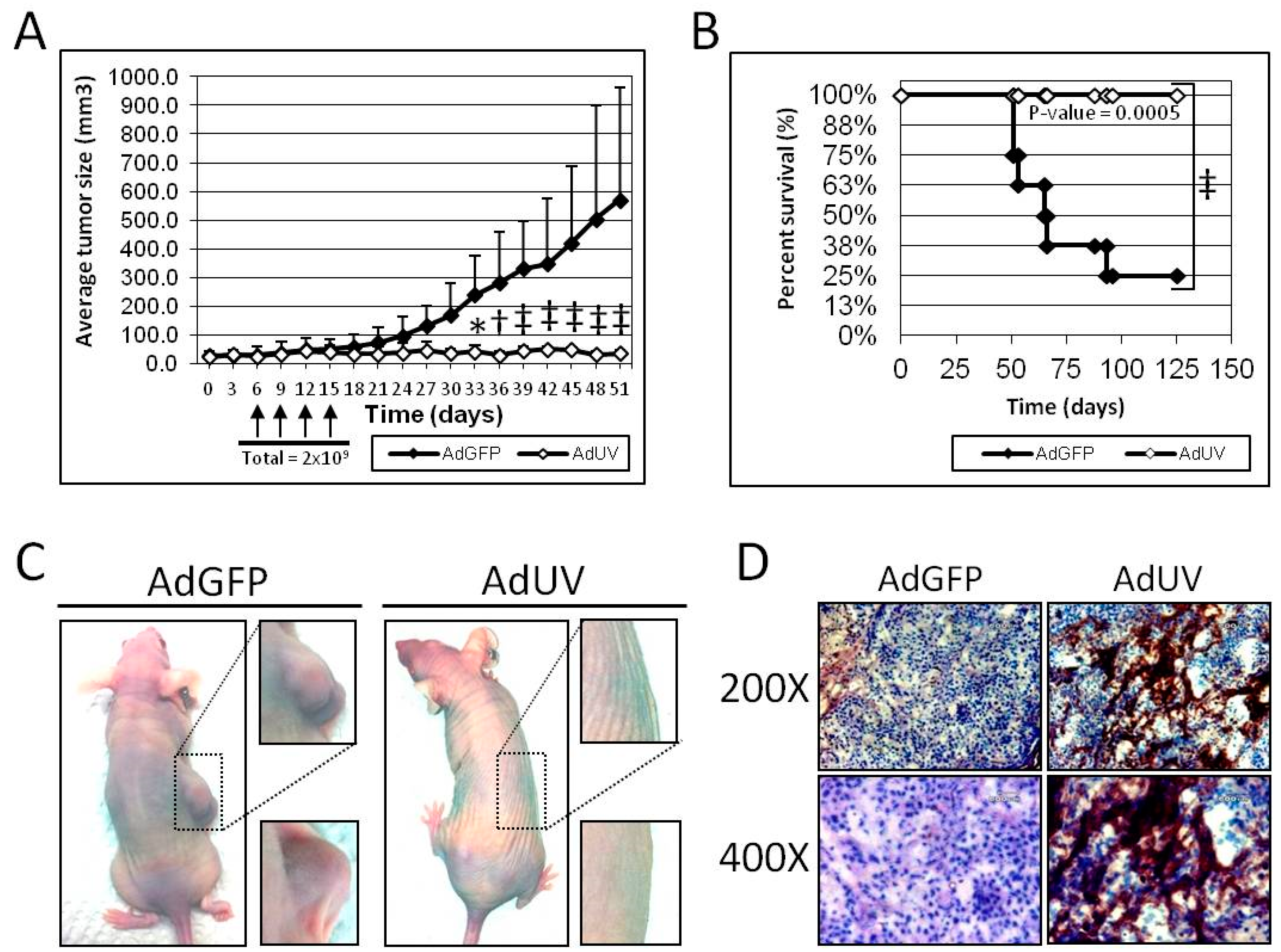 Viruses 08 00333 g005