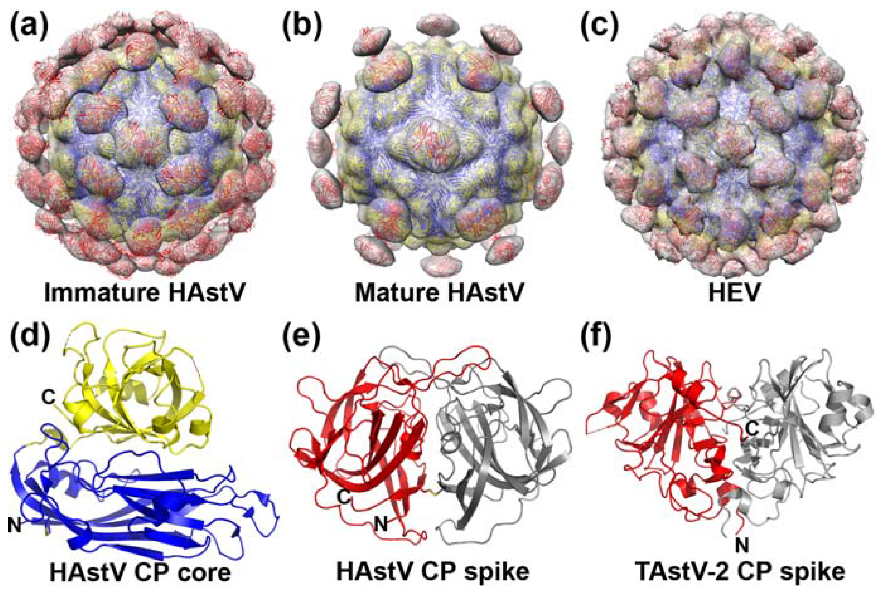 Viruses 09 00015 g003