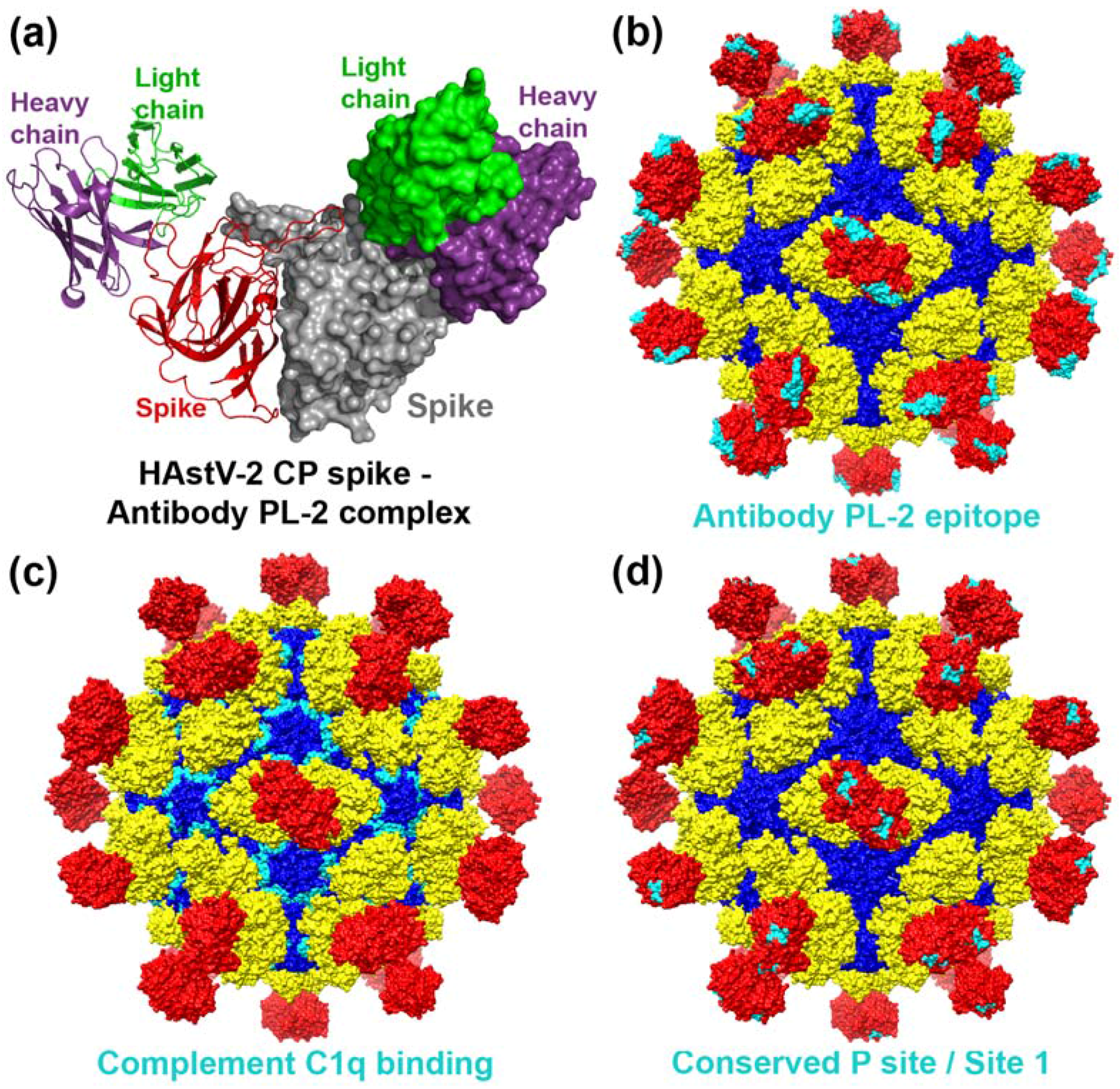 Viruses 09 00015 g004