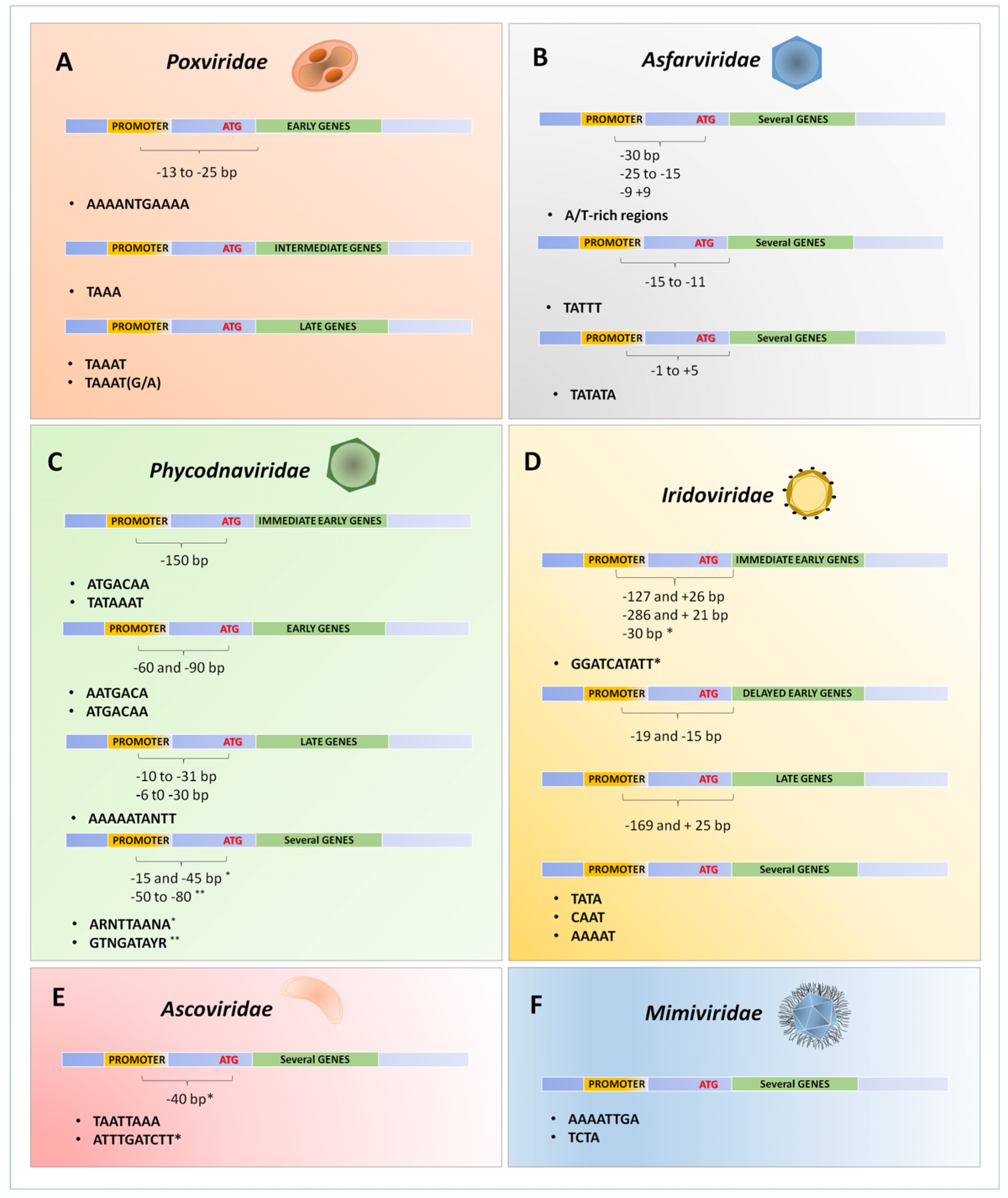 Viruses 09 00016 g003