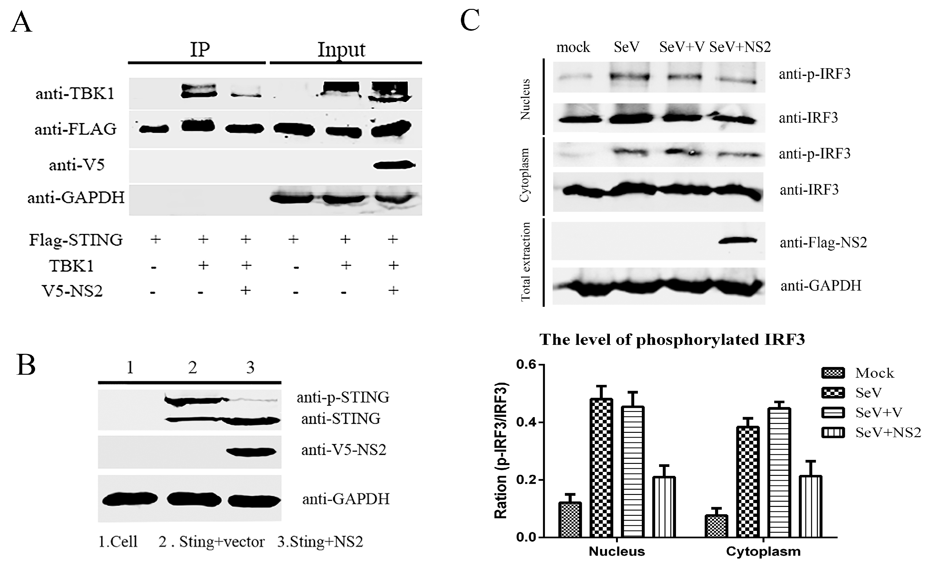 Viruses 09 00023 g006