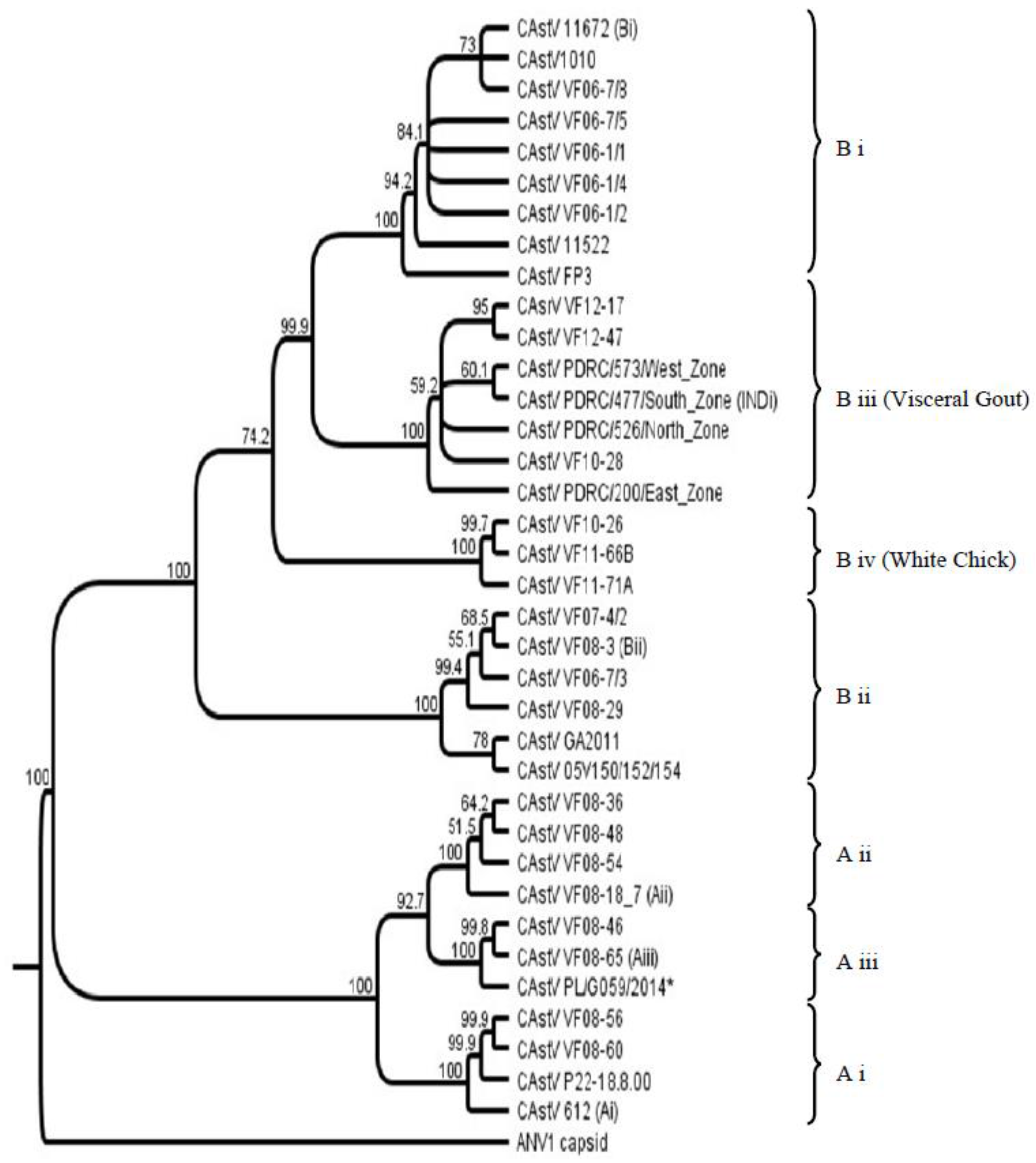 Viruses 09 00029 g001