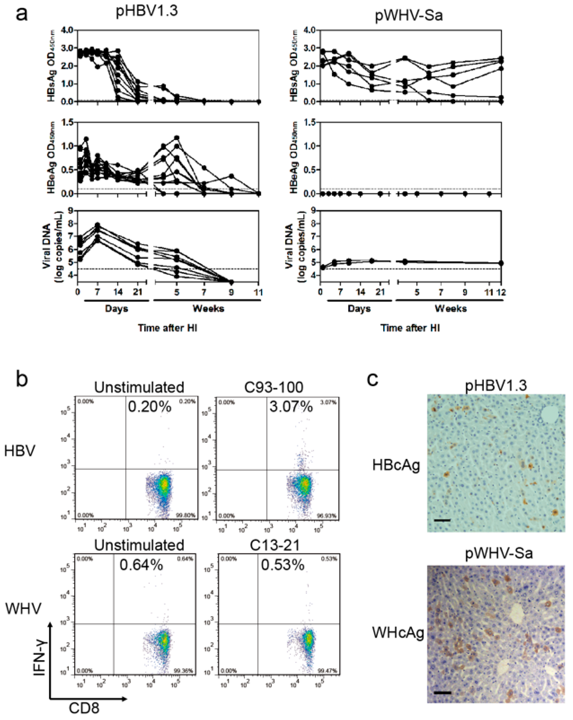 Viruses 09 00035 g002